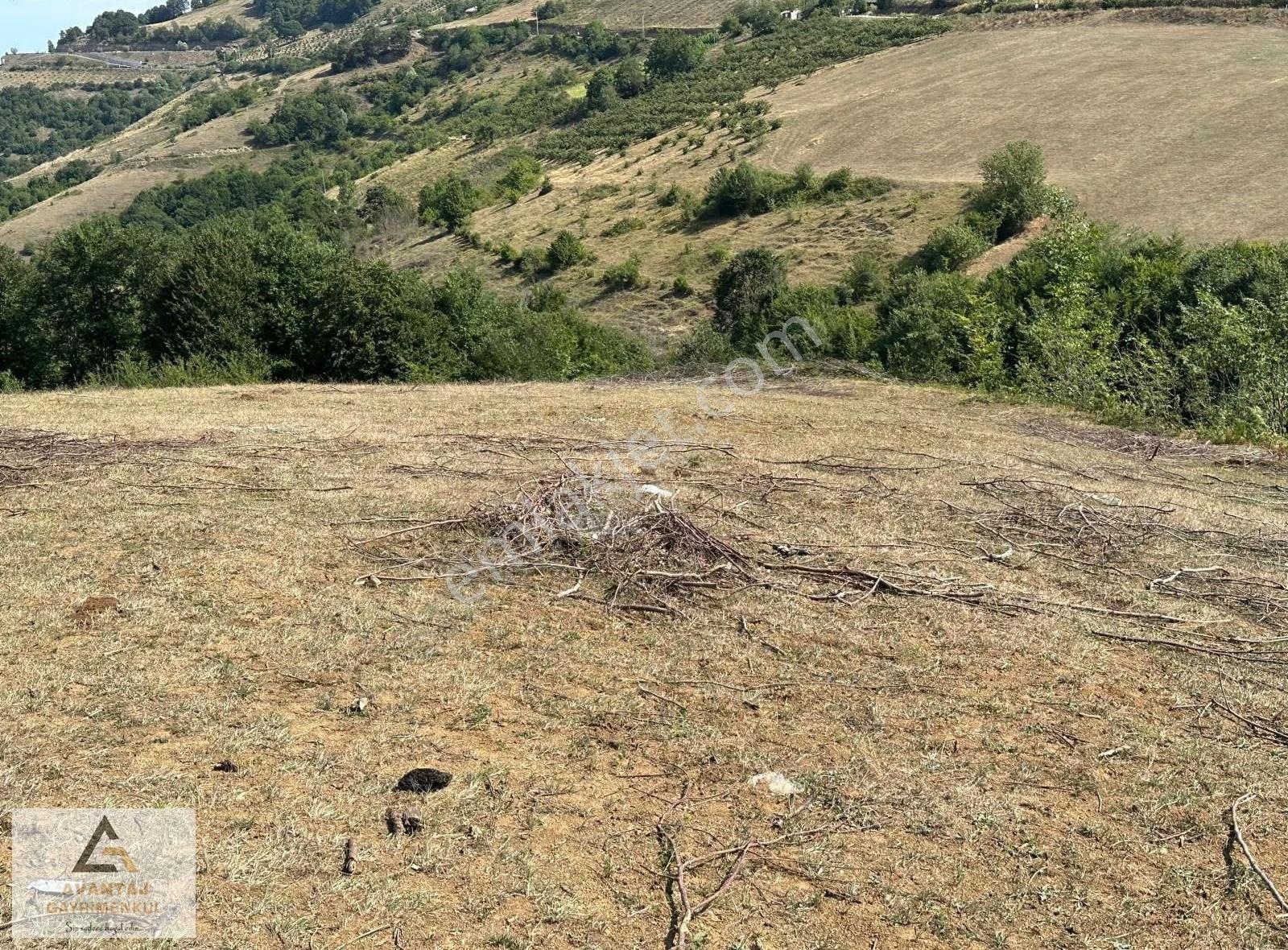Avantaj Gayrimenkul'den Canik'te Köy İçi İmarlı Satılık Tarla - Görsel 3