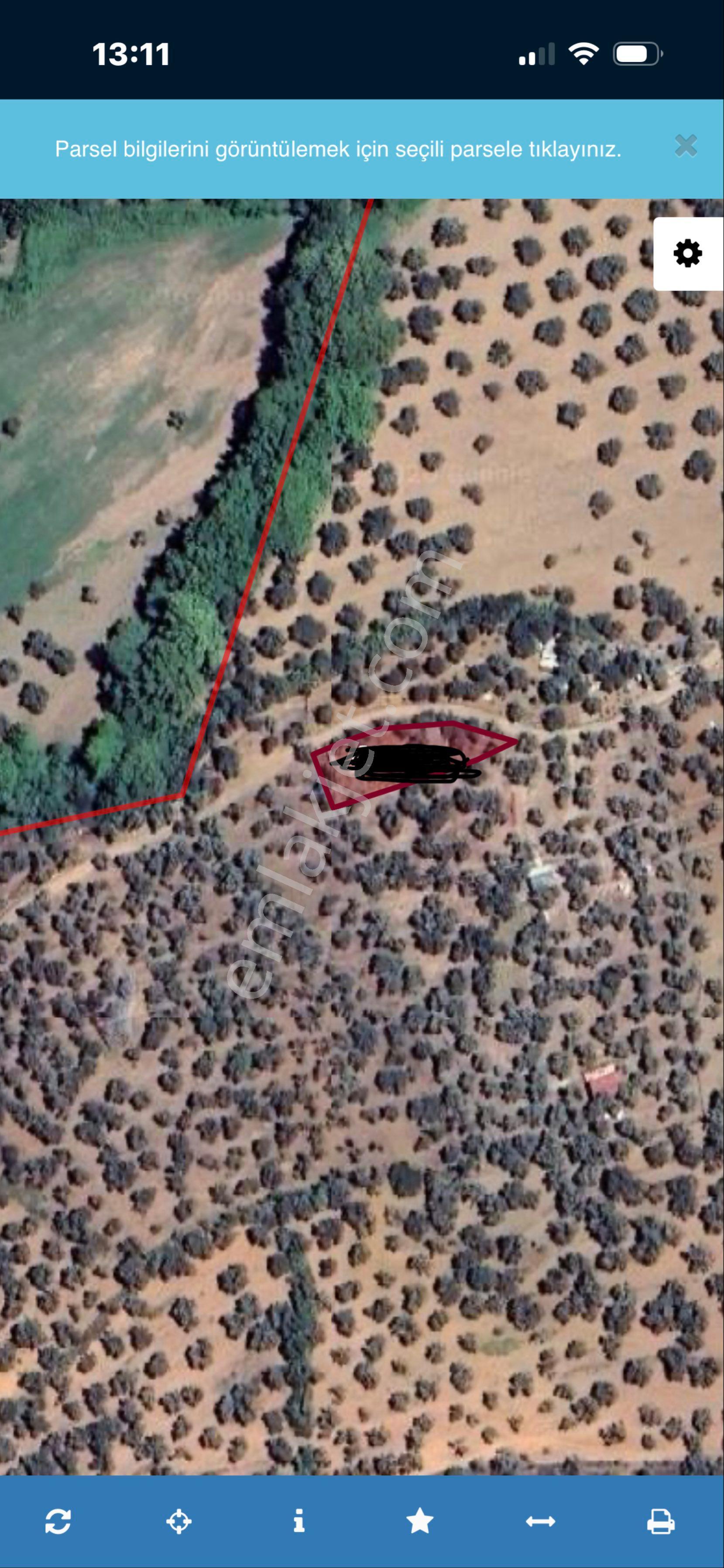 Balıkesir/edremit/ Kızılkeçili De 576m2 Kaçırılmayacak Fırsat Zeytinlik! - Görsel 5