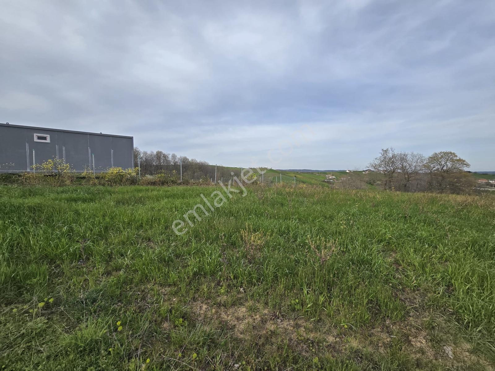 Remax/true Kocaeli Kaynarca Mevkiinde 5.473m2 Satılık Fırsat - Görsel 2
