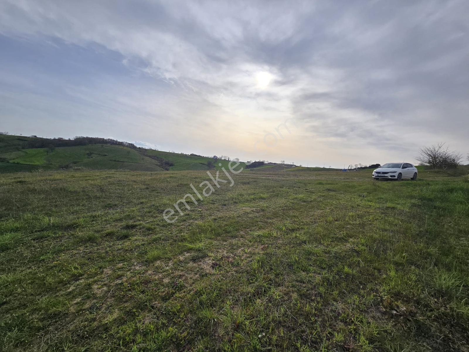 Remax/true Kocaeli Kaynarca Mevkiinde 5.473m2 Satılık Fırsat