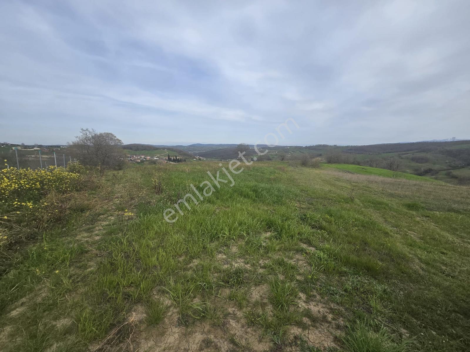 Remax/true Kocaeli Kaynarca Mevkiinde 5.473m2 Satılık Fırsat - Görsel 9