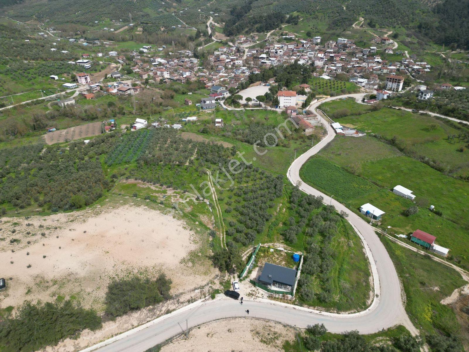 Dialog Prestij Mudanya Dereköy 1527 M² Arazi - Görsel 6