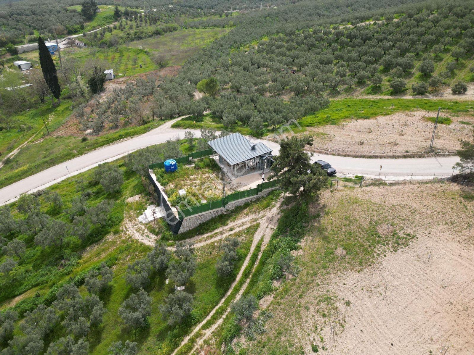 Dialog Prestij Mudanya Dereköy 1527 M² Arazi - Görsel 3