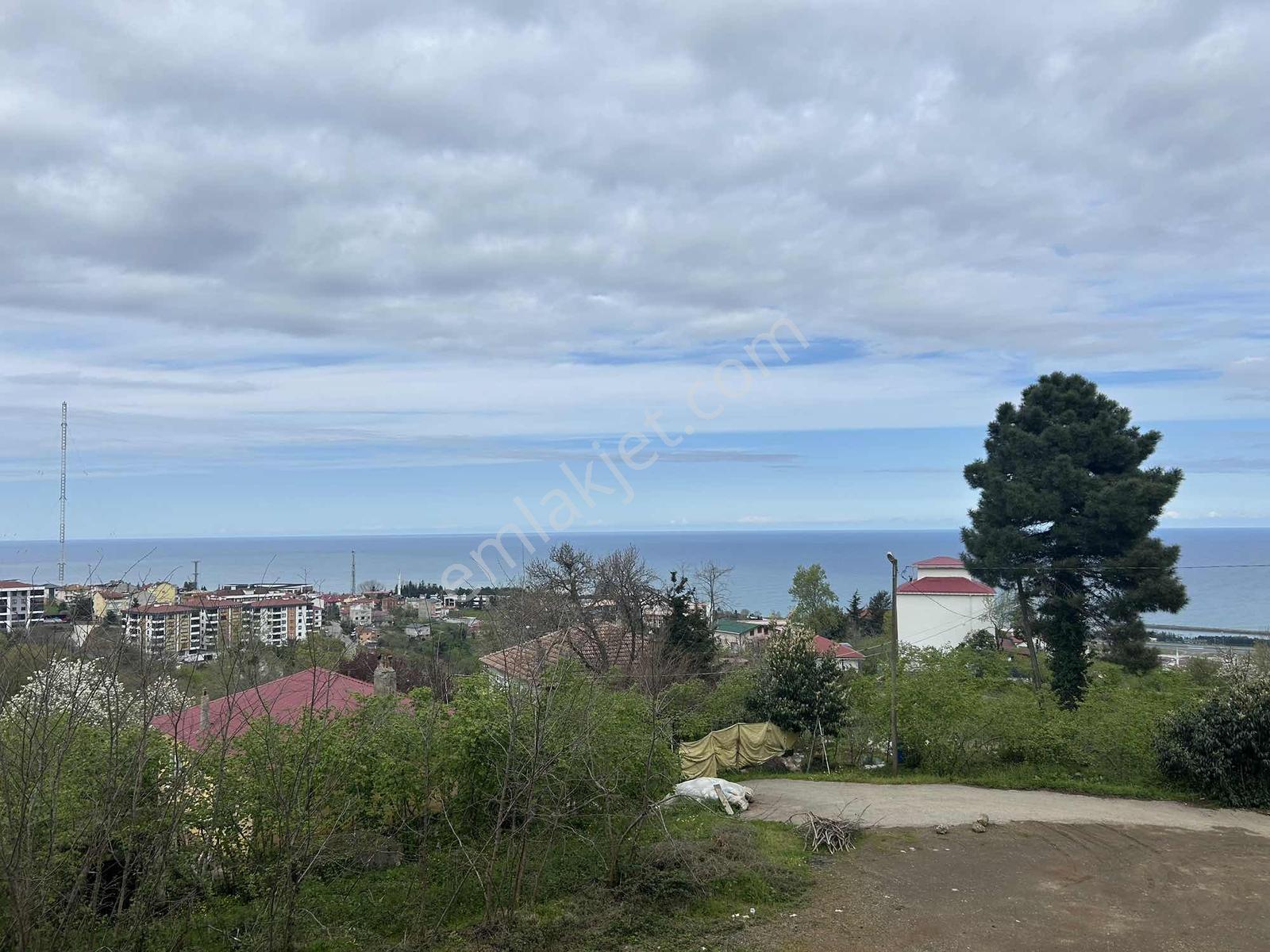 Altın Emlak Trabzonda Satılık 3+1 Deniz Manzaralı Fırsat Daire