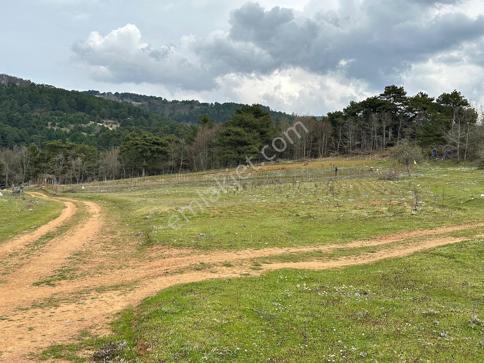 Rw Land Gayrimenkulden Fırsat Arazi