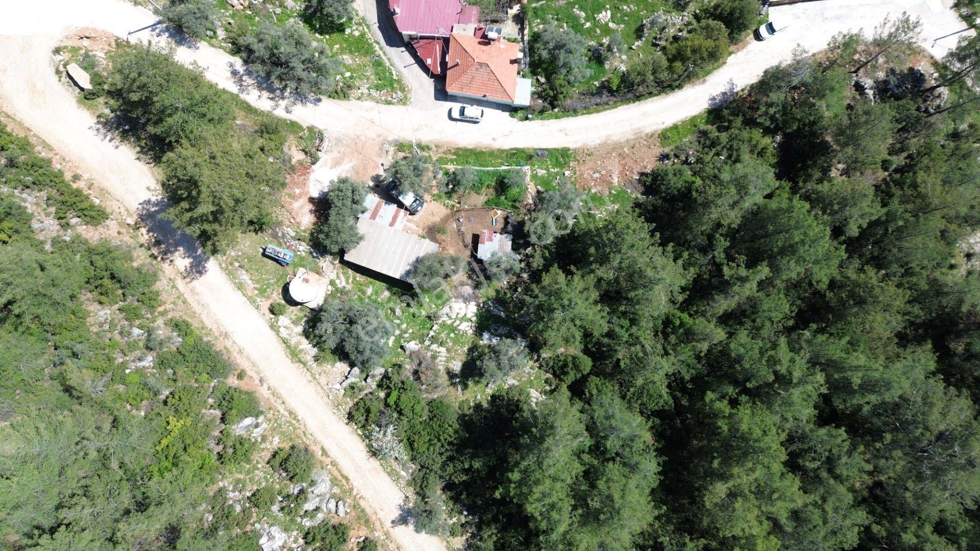 Milas Korucuk’ta Doğayla İç İçe, İçerisinde Yapı Bulunan Arazi - Görsel 6