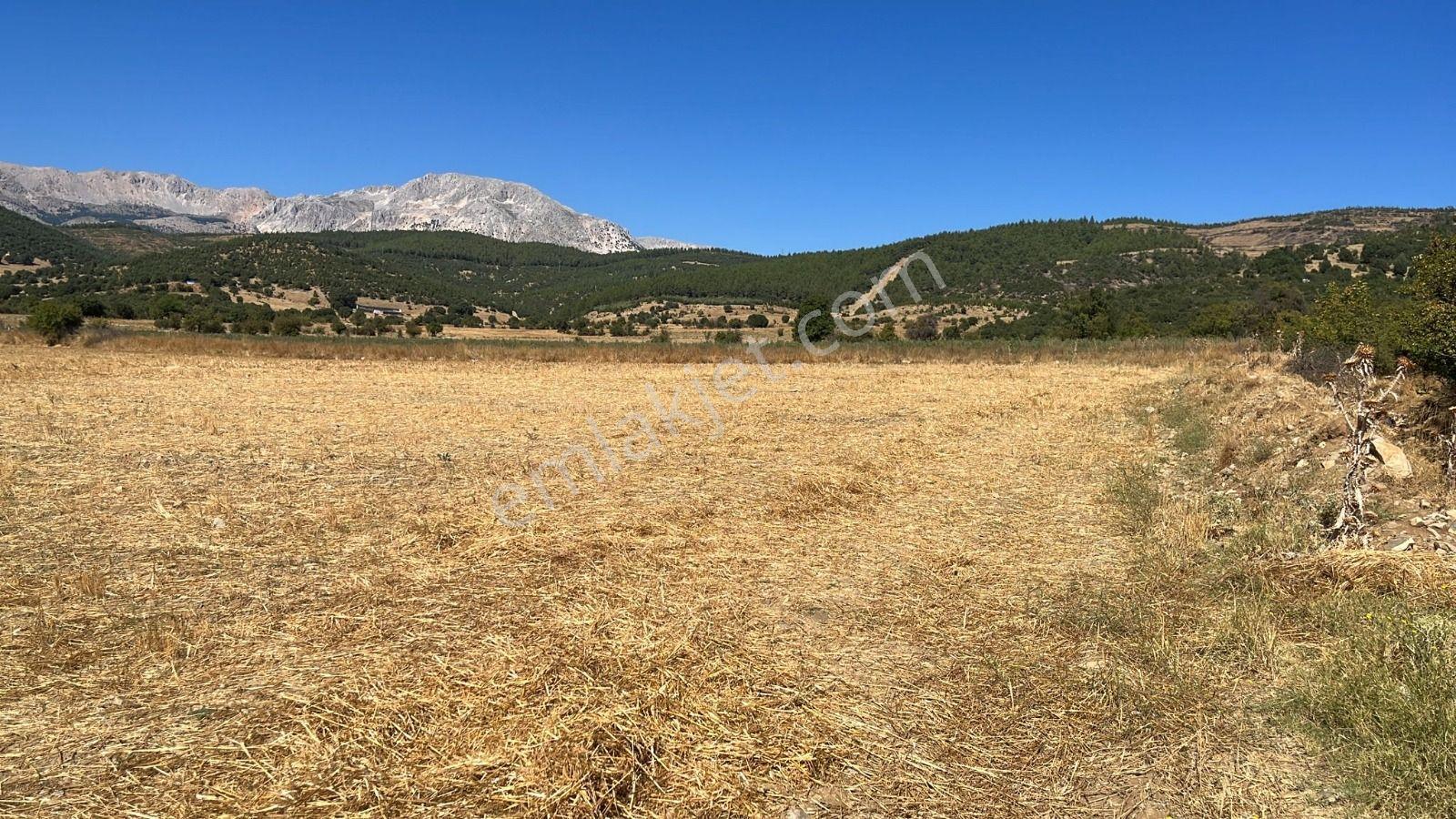 Ağlasun Hamam Mahallesinde Satılık Fırsat Arazi - Görsel 4