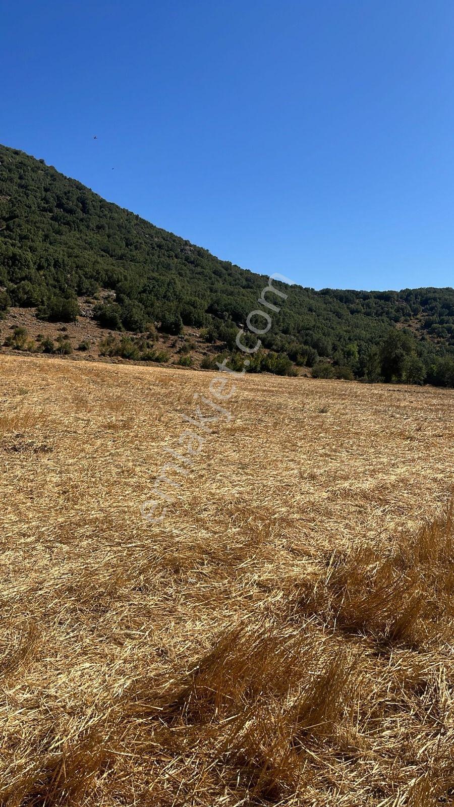 Ağlasun Hamam Mahallesinde Satılık Fırsat Arazi - Görsel 6