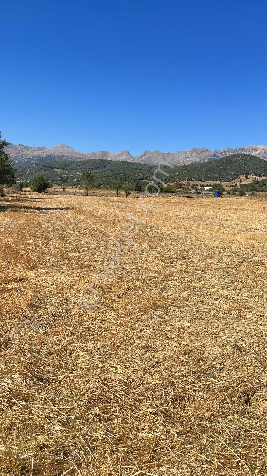 Ağlasun Hamam Mahallesinde Satılık Fırsat Arazi - Görsel 6