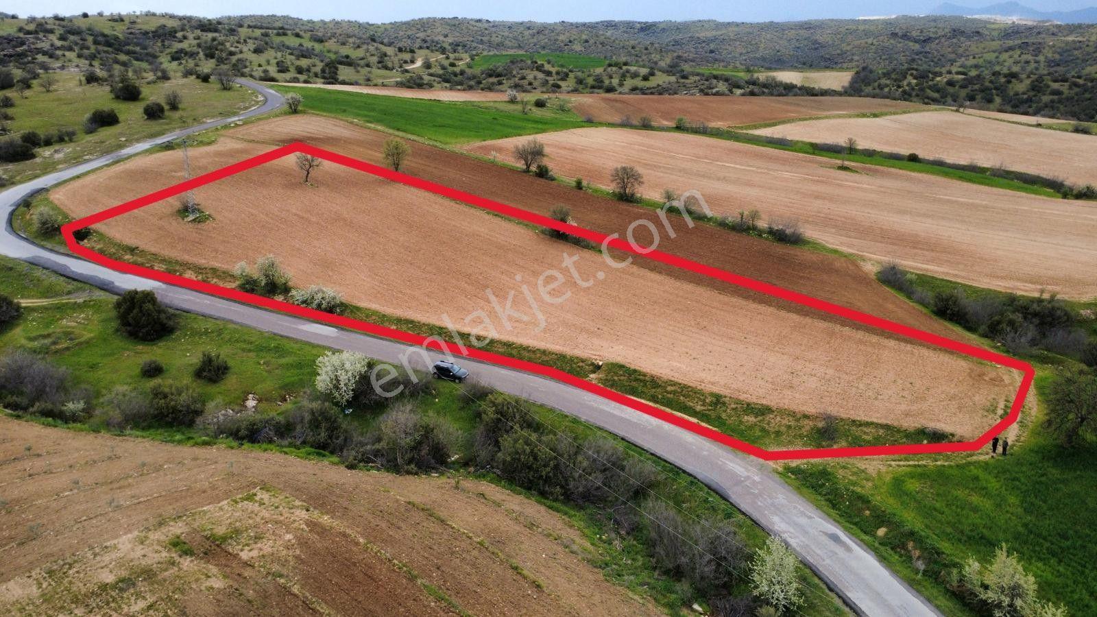 Uşak Eşme Kayalı Köyünde Satılık Tarla - Görsel 7