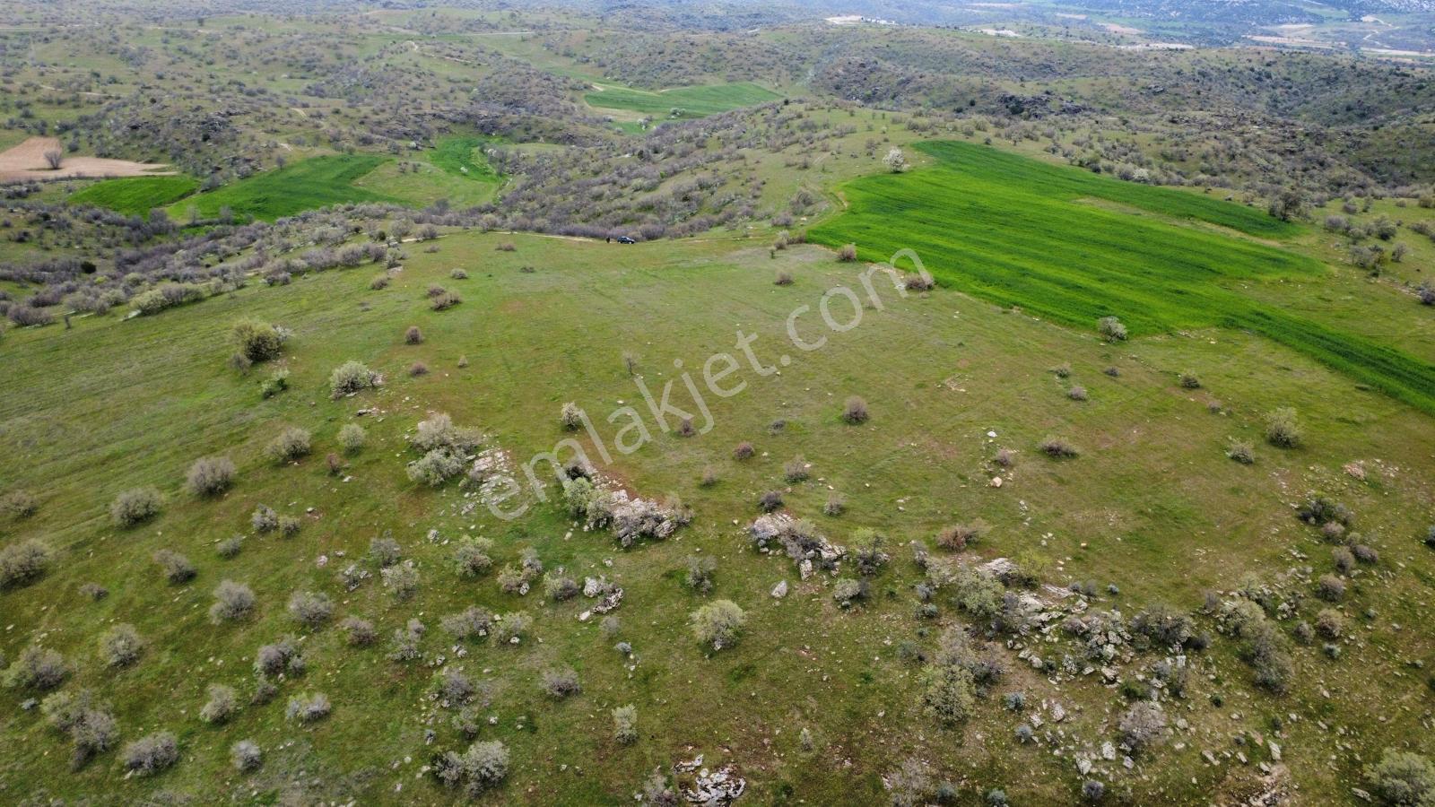 Uşak Eşme Kayalı Köyünde Satılık Tarla - Görsel 26