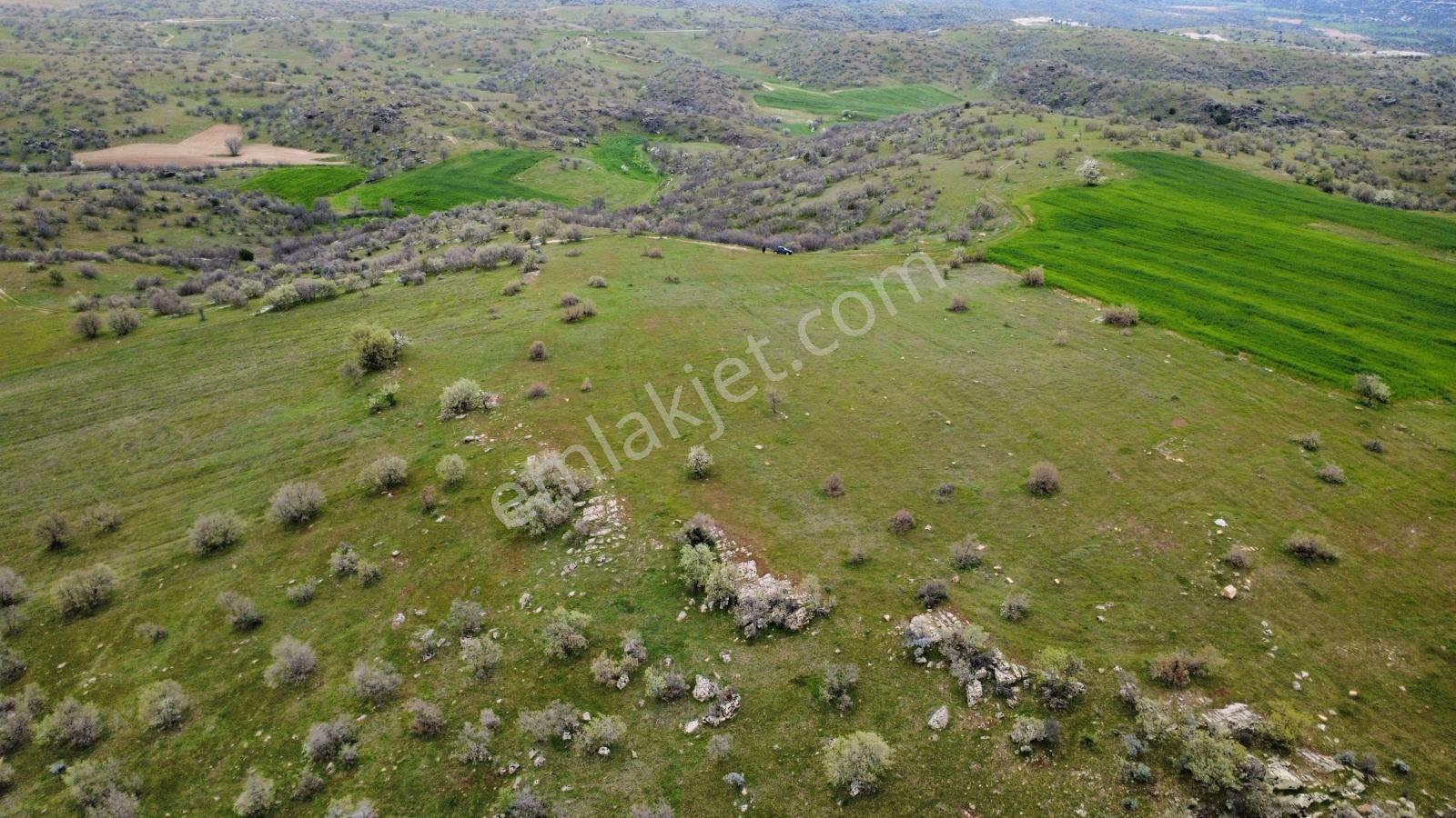 Uşak Eşme Kayalı Köyünde Satılık Tarla - Görsel 3