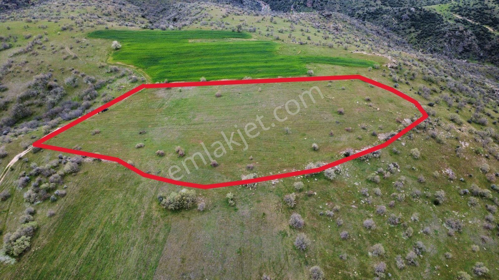 Uşak Eşme Kayalı Köyünde Satılık Tarla - Görsel 12