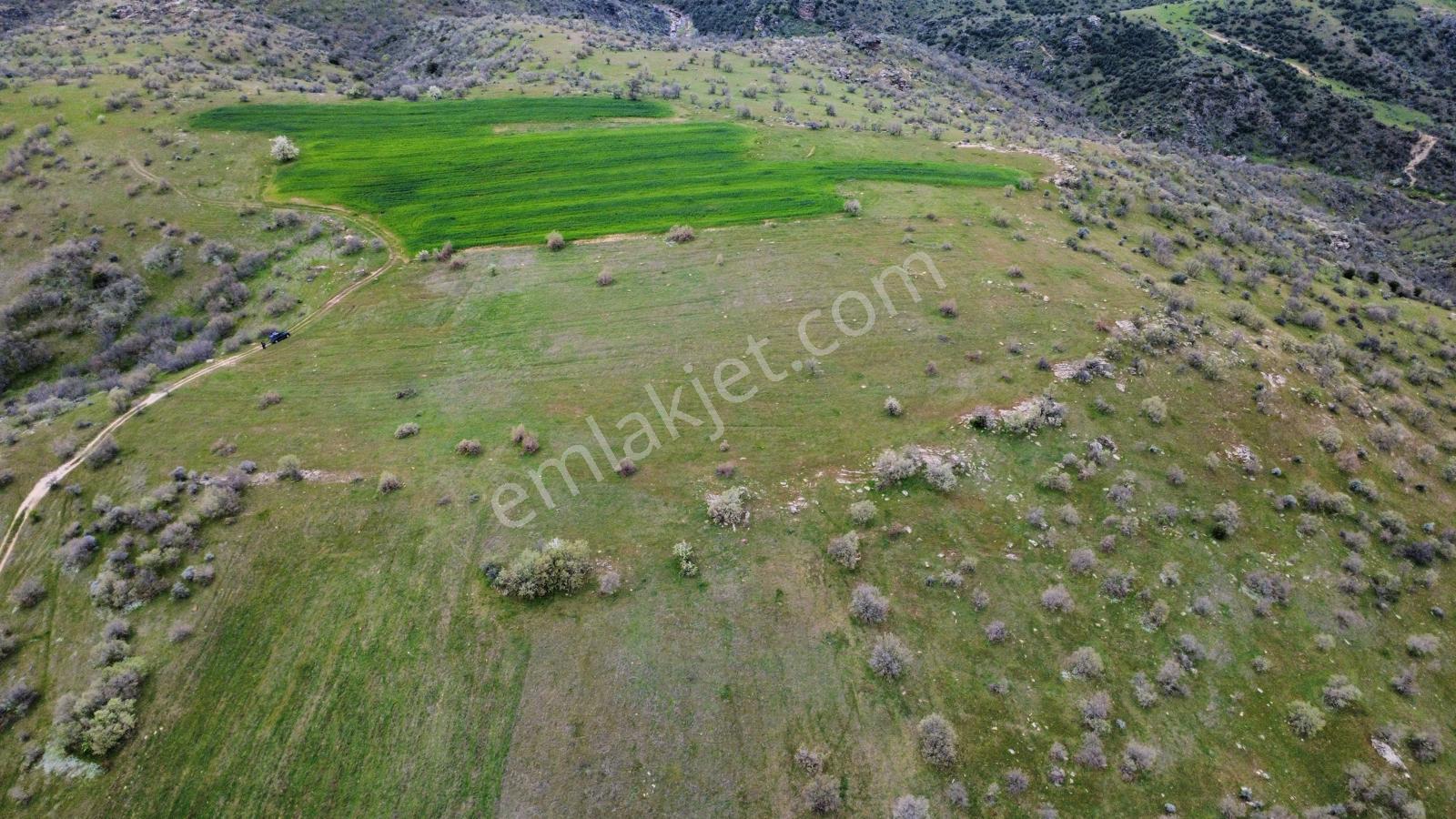 Uşak Eşme Kayalı Köyünde Satılık Tarla - Görsel 10