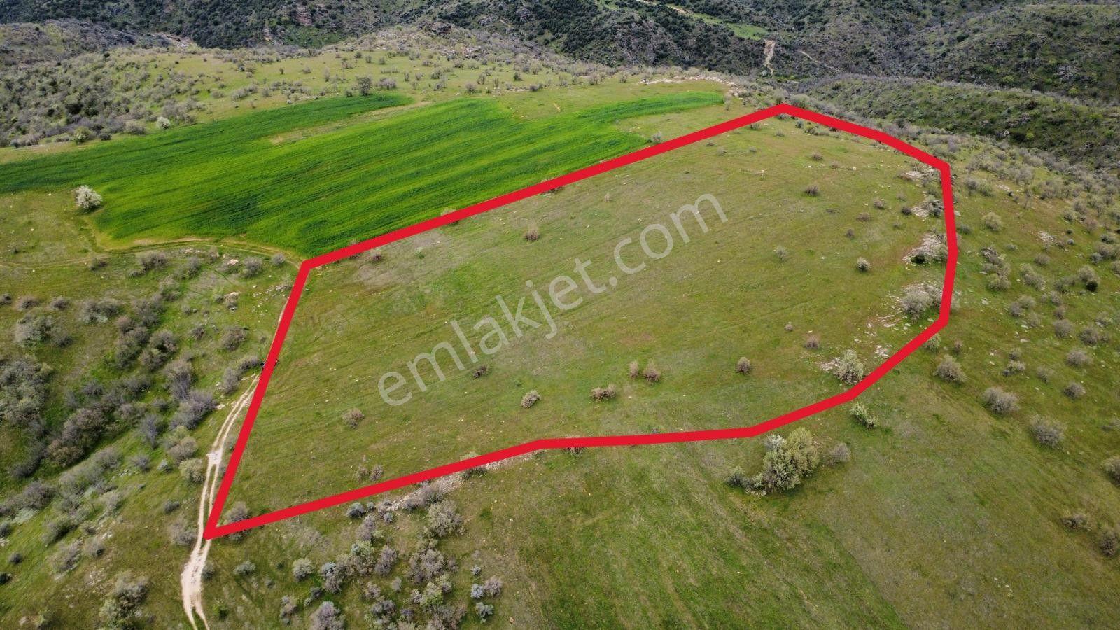 Uşak Eşme Kayalı Köyünde Satılık Tarla - Görsel 2