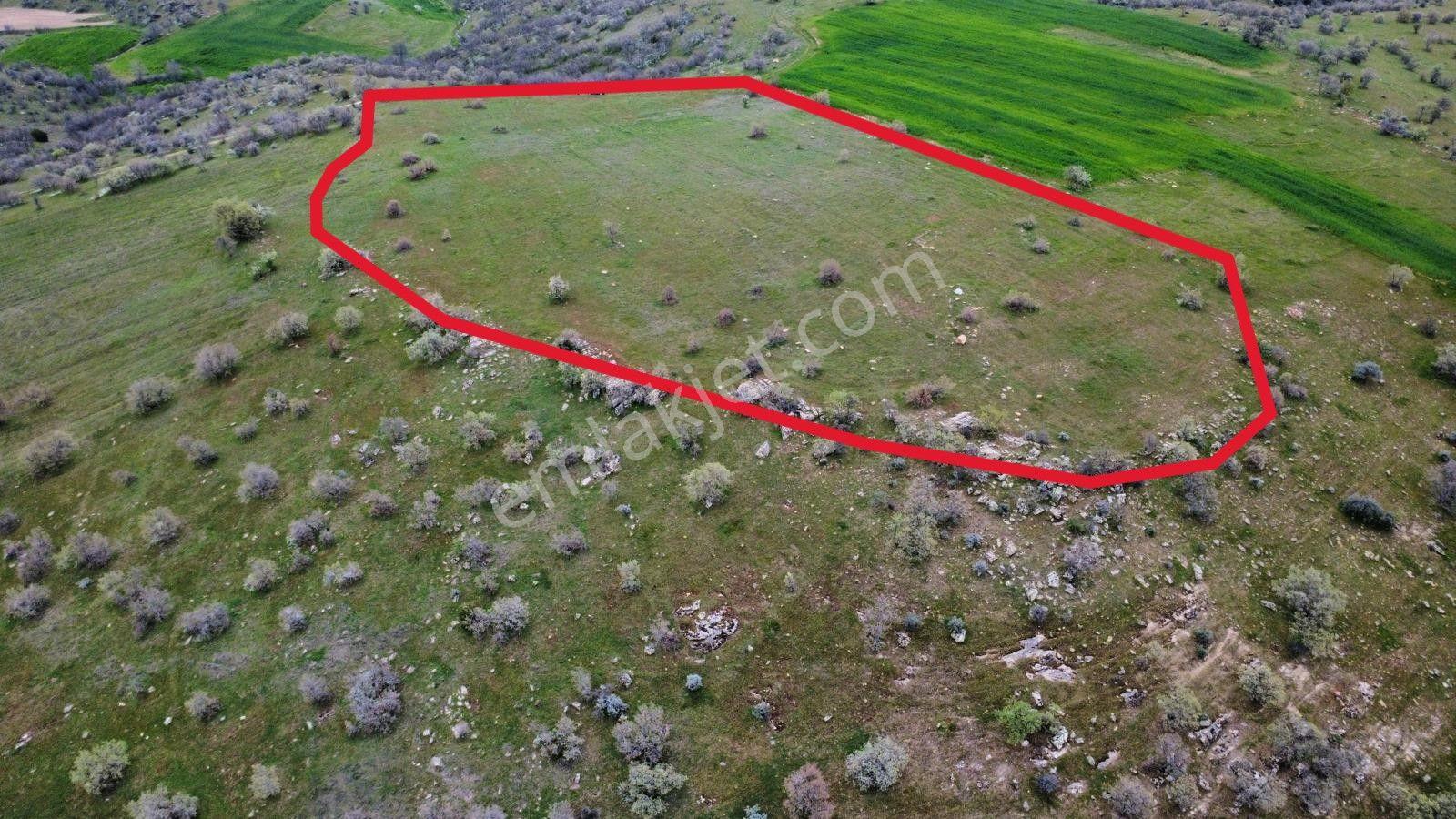 Uşak Eşme Kayalı Köyünde Satılık Tarla - Görsel 16