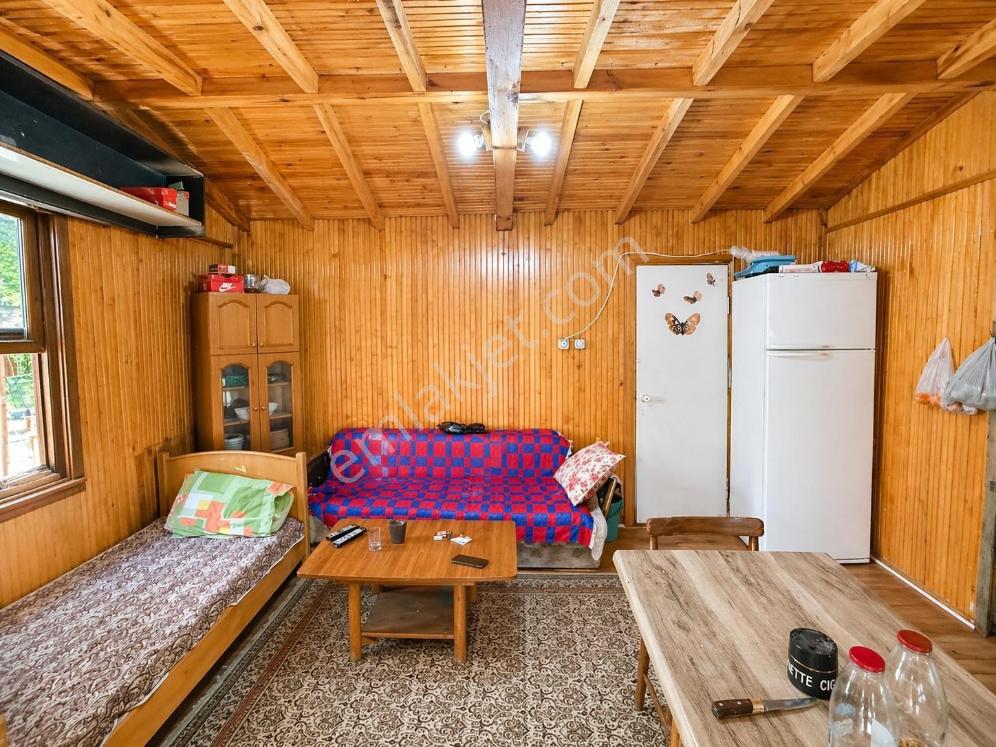 Rota'dan | Denize Yakın | 4213m² | Resmi Evi Olan Bahçe - Görsel 12