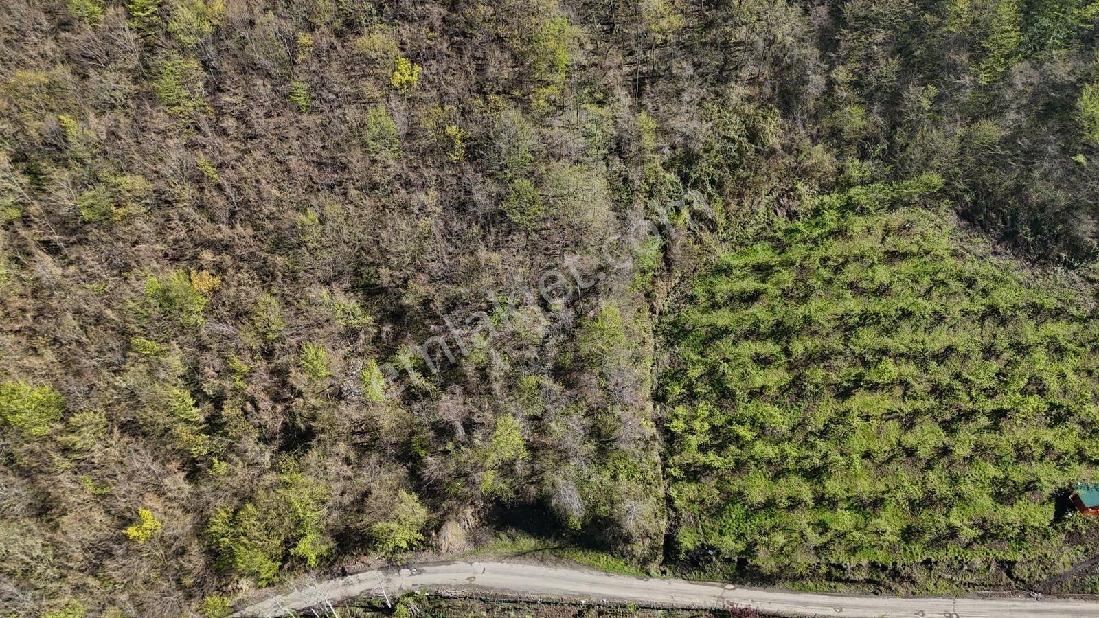 Akçaabat Yenimahallede 2.530 M² Deniz Manzaralı Satılık Arazi - Görsel 14