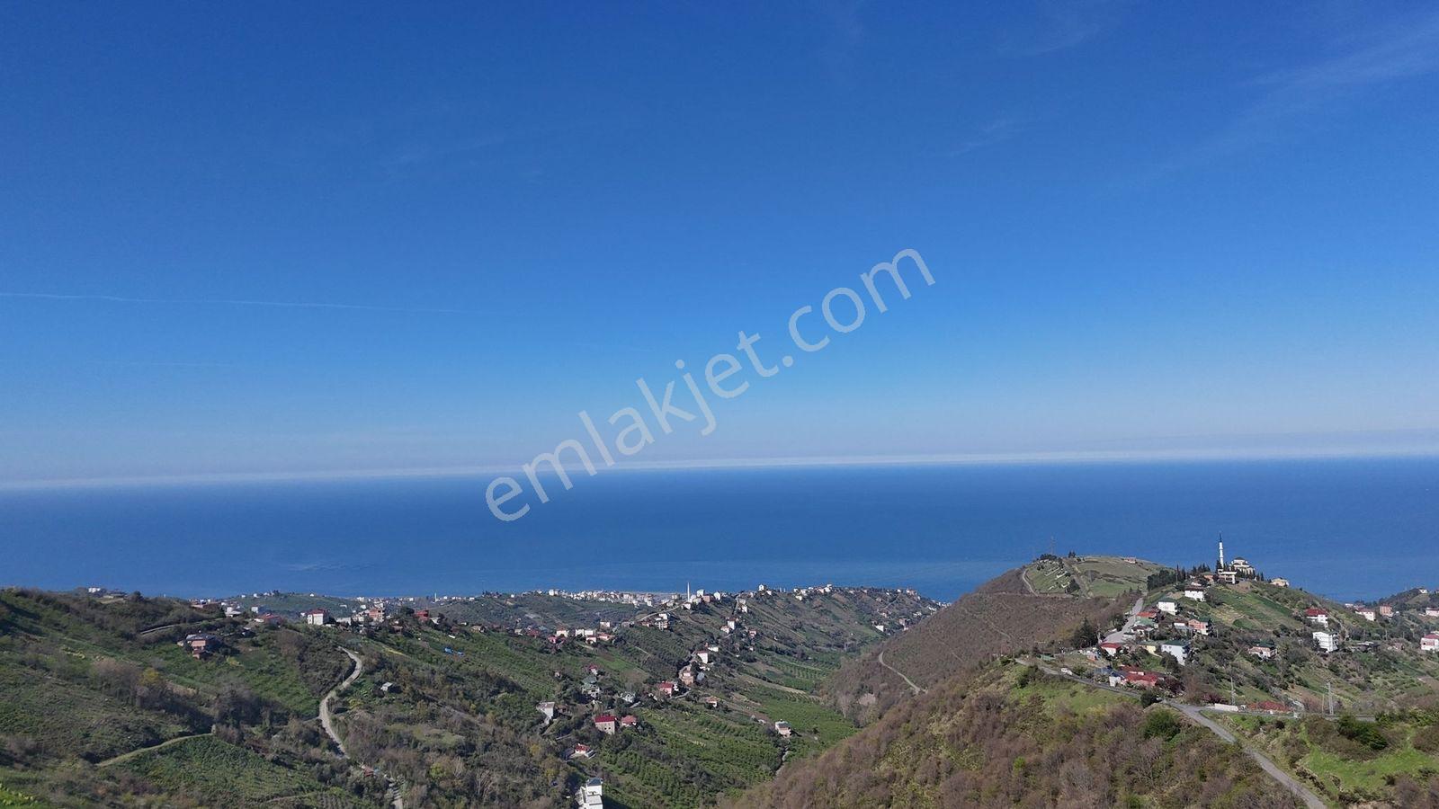 Akçaabat Yenimahallede 2.530 M² Deniz Manzaralı Satılık Arazi - Görsel 23