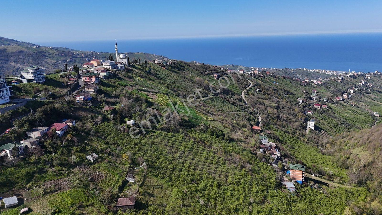 Akçaabat Yenimahallede 2.530 M² Deniz Manzaralı Satılık Arazi - Görsel 19