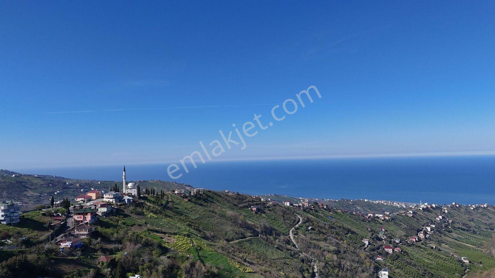 Akçaabat Yenimahallede 2.530 M² Deniz Manzaralı Satılık Arazi - Görsel 31
