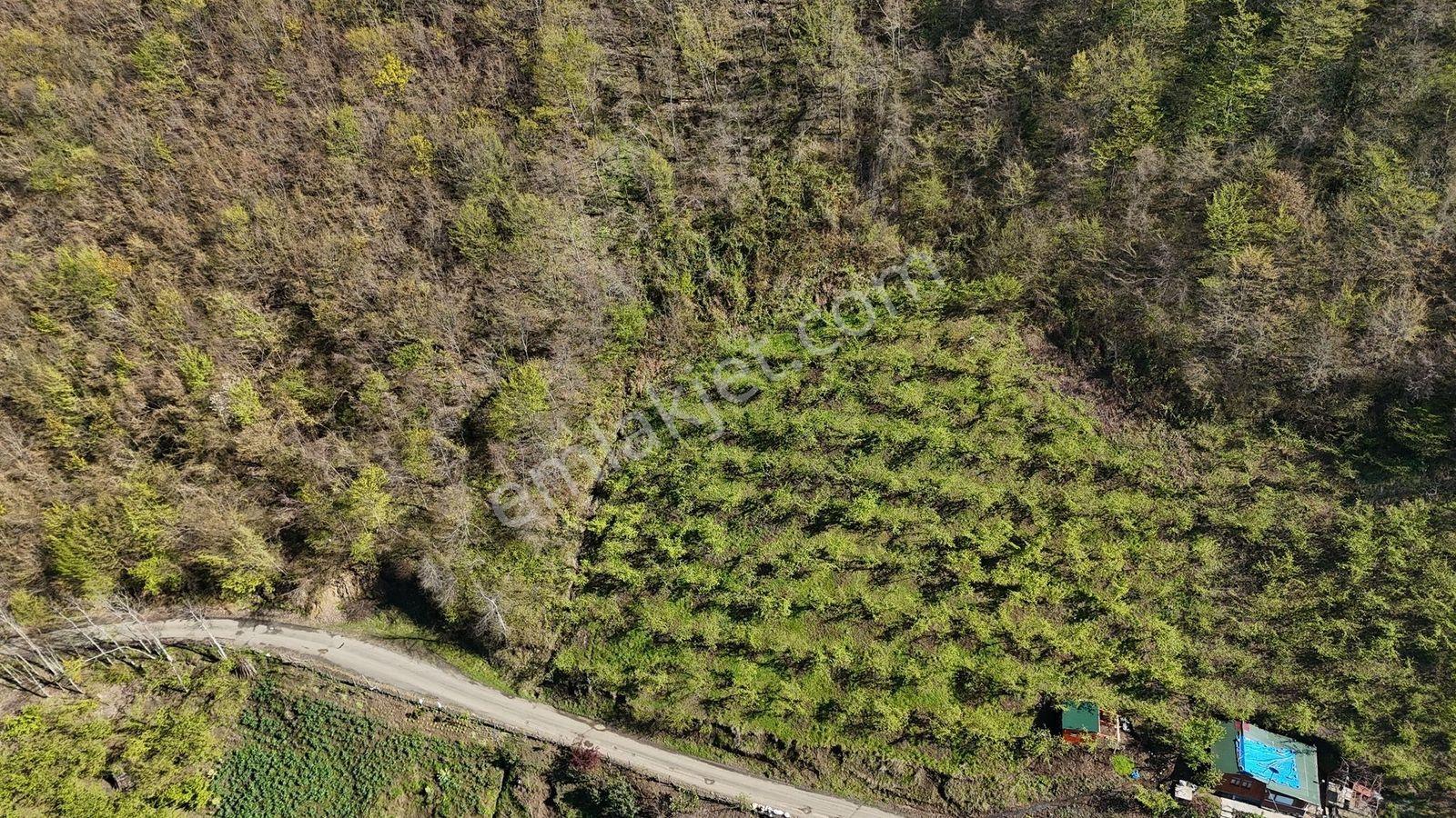 Akçaabat Yenimahallede 2.530 M² Deniz Manzaralı Satılık Arazi - Görsel 20