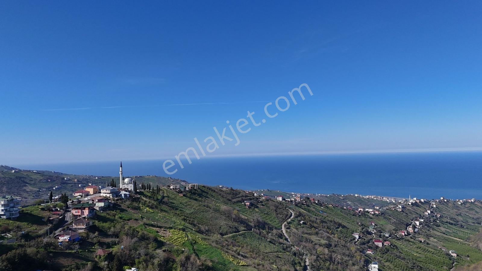 Akçaabat Yenimahallede 2.530 M² Deniz Manzaralı Satılık Arazi - Görsel 8