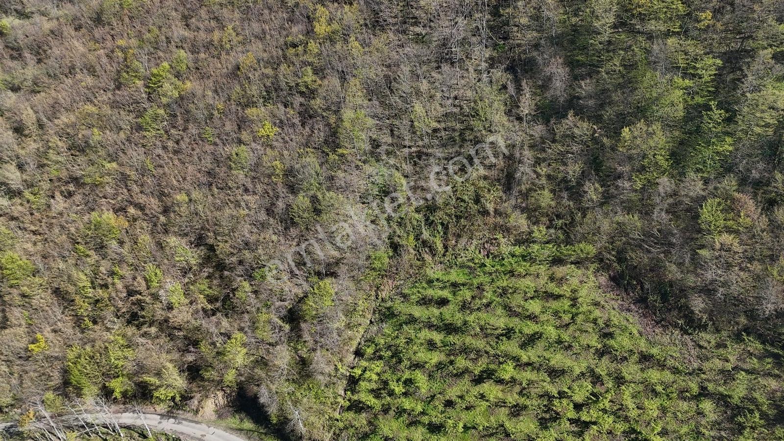 Akçaabat Yenimahallede 2.530 M² Deniz Manzaralı Satılık Arazi - Görsel 10