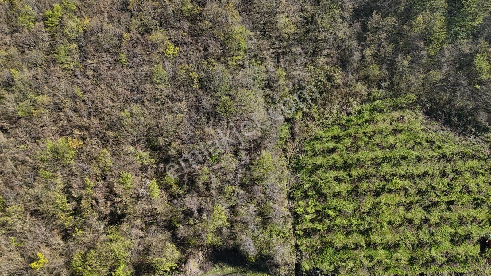 Akçaabat Yenimahallede 2.530 M² Deniz Manzaralı Satılık Arazi - Görsel 34