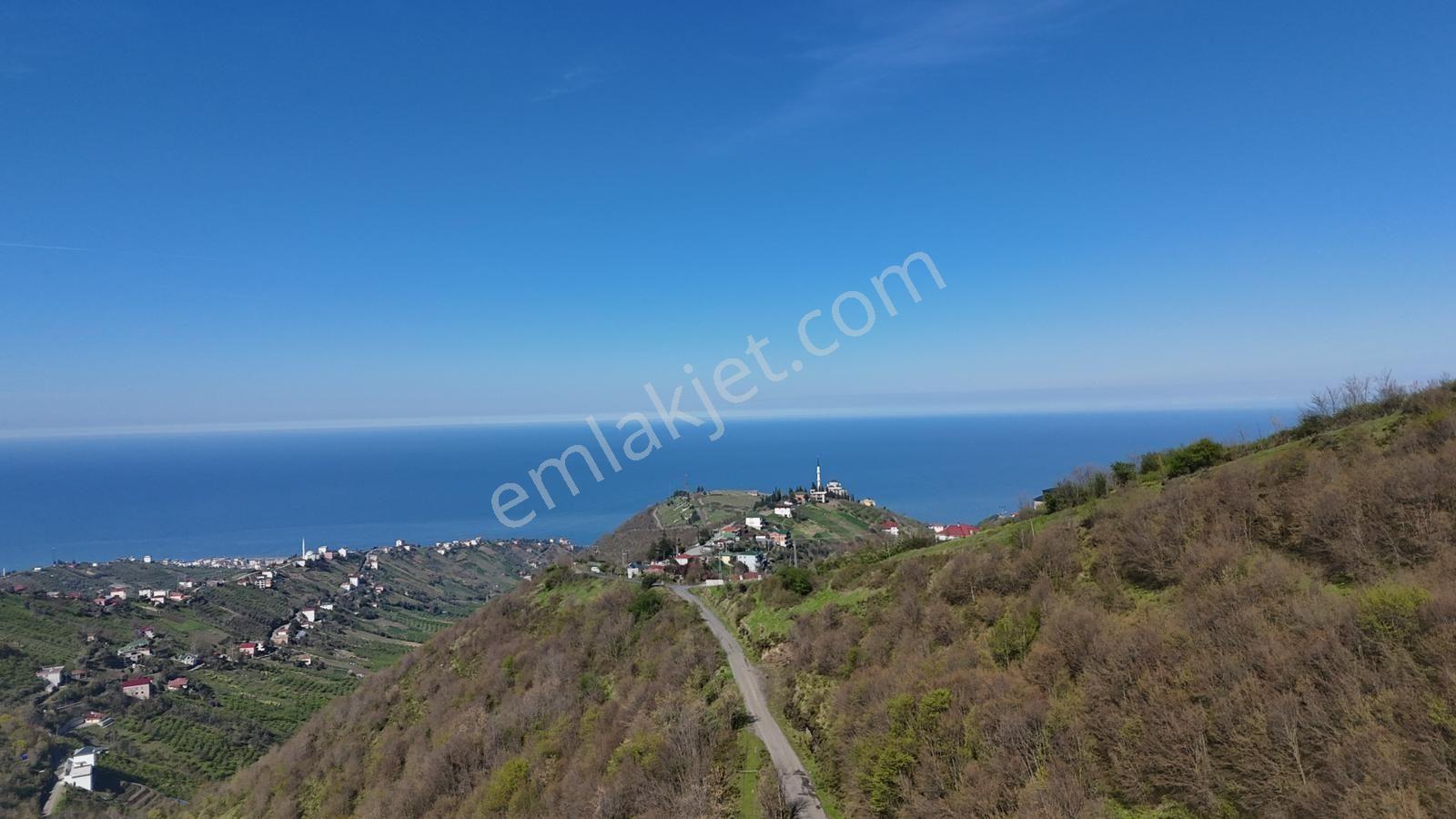Akçaabat Yenimahallede 2.530 M² Deniz Manzaralı Satılık Arazi - Görsel 21