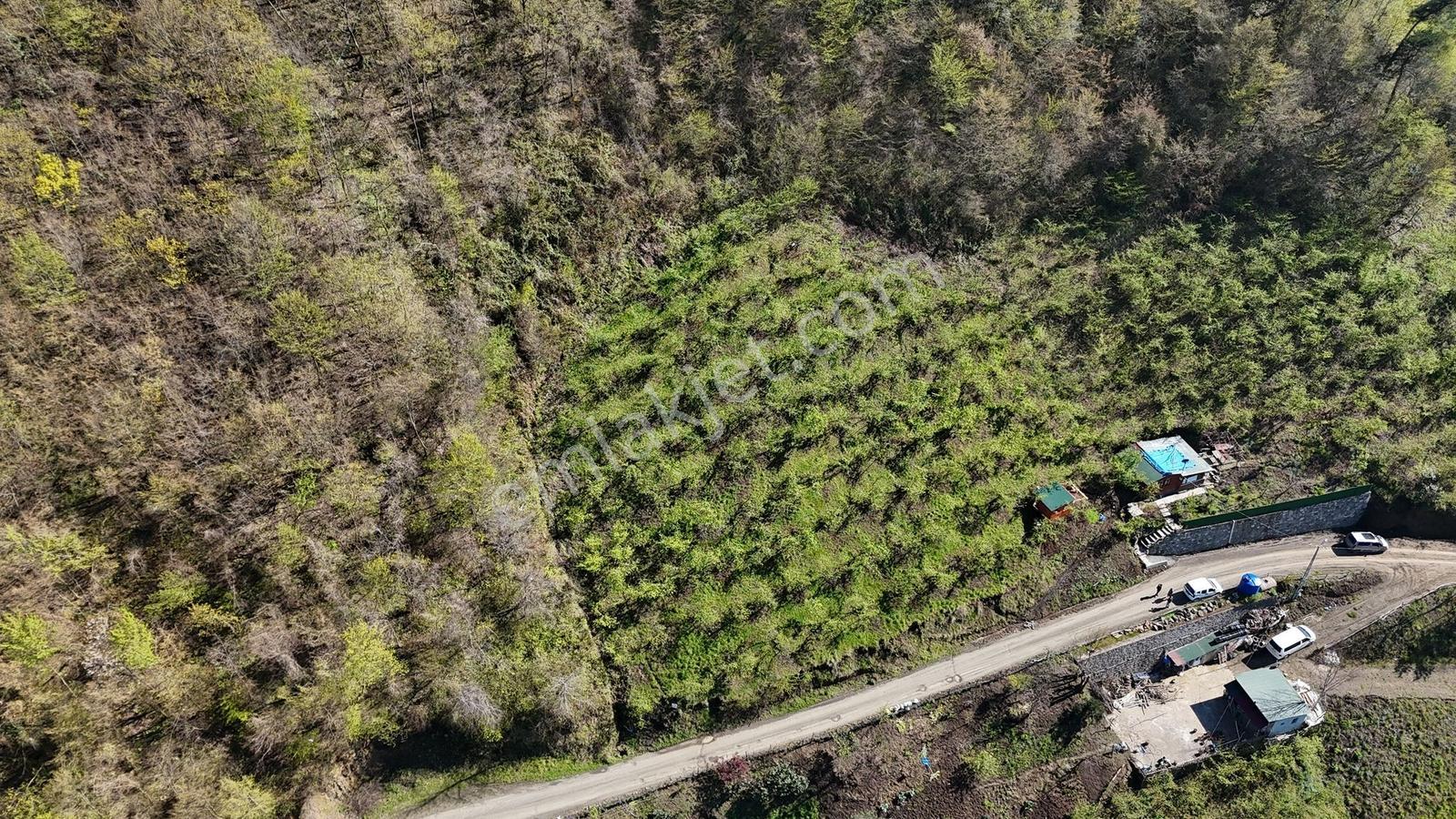 Akçaabat Yenimahallede 2.530 M² Deniz Manzaralı Satılık Arazi - Görsel 2