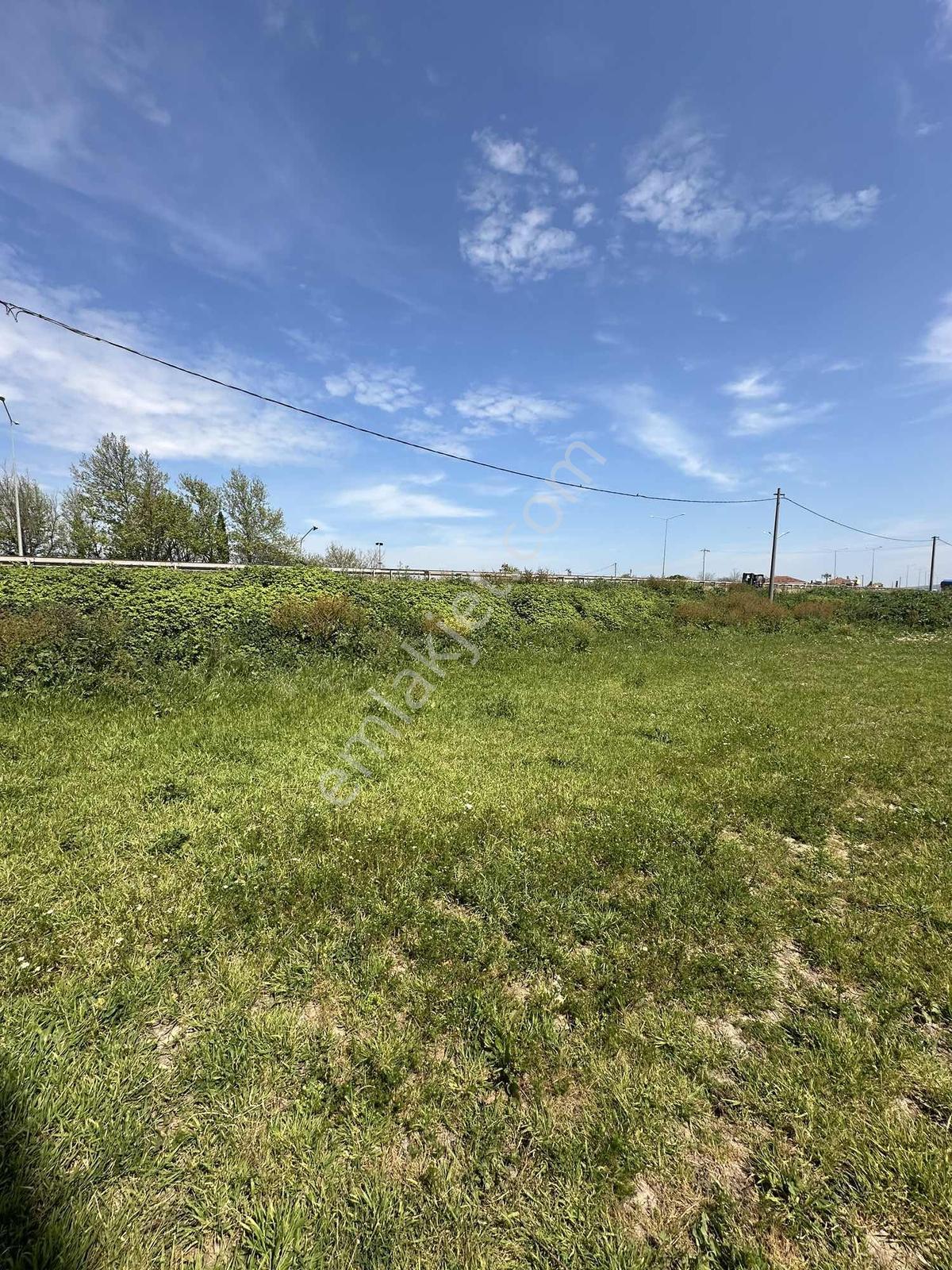 Karacabey Uluabat Da Yola 120 Metre Cepheli Satılık 7217 M2 Arsa - Görsel 9