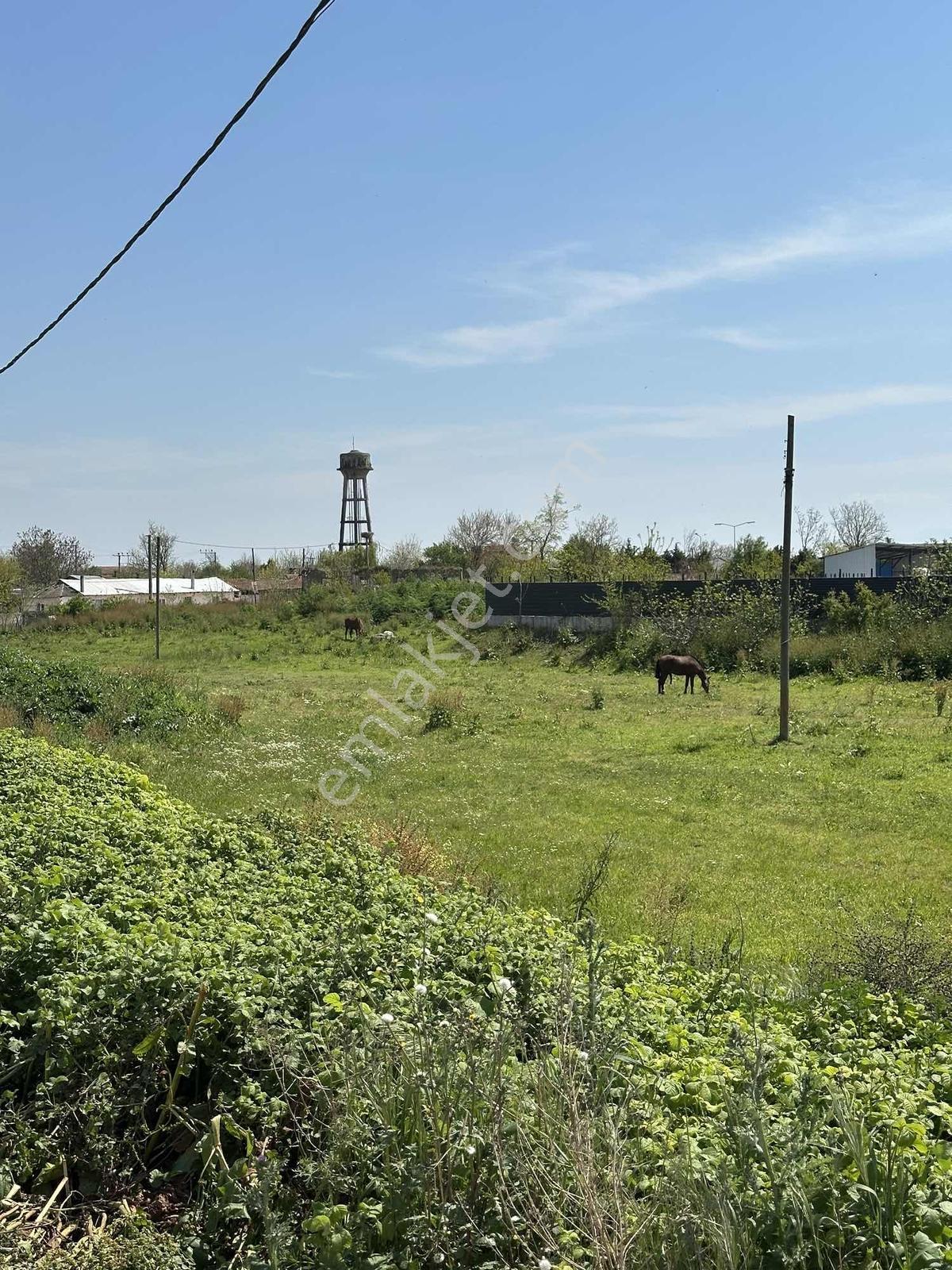 Karacabey Uluabat Da Yola 120 Metre Cepheli Satılık 7217 M2 Arsa - Görsel 11