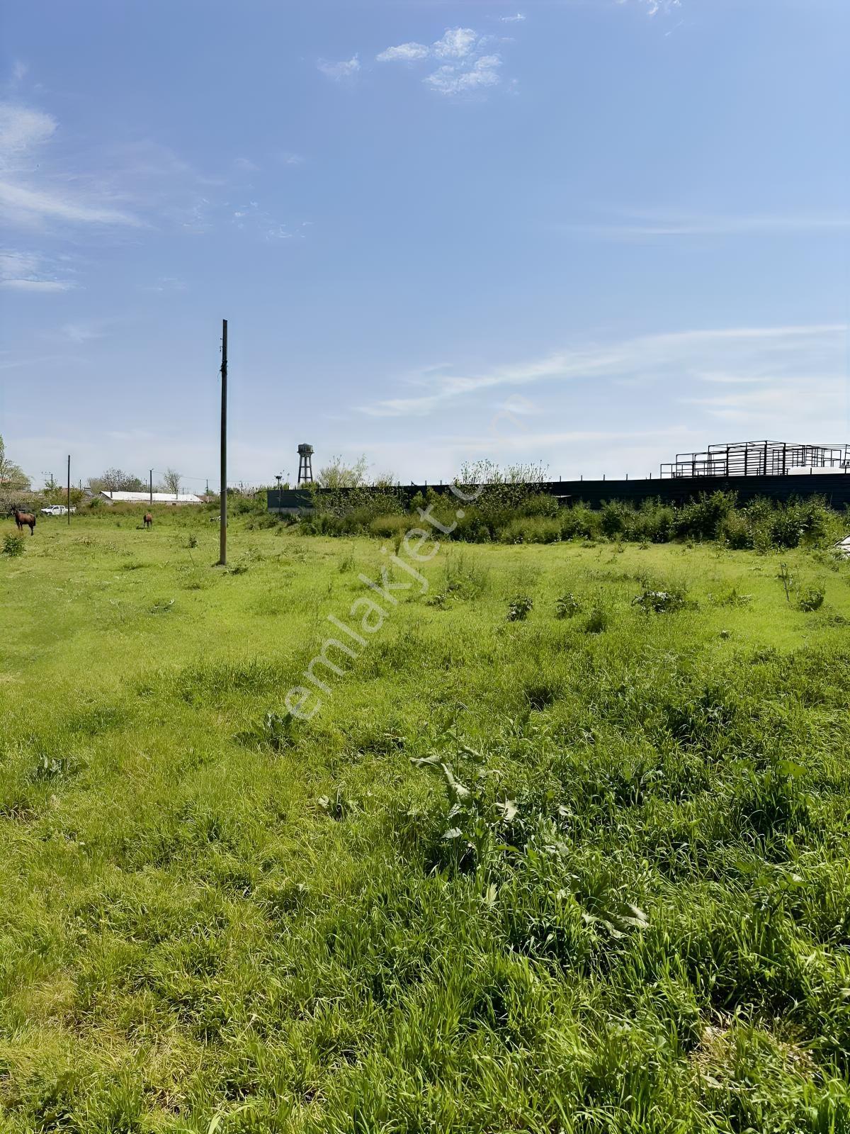 Karacabey Uluabat Da Yola 120 Metre Cepheli Satılık 7217 M2 Arsa - Görsel 8