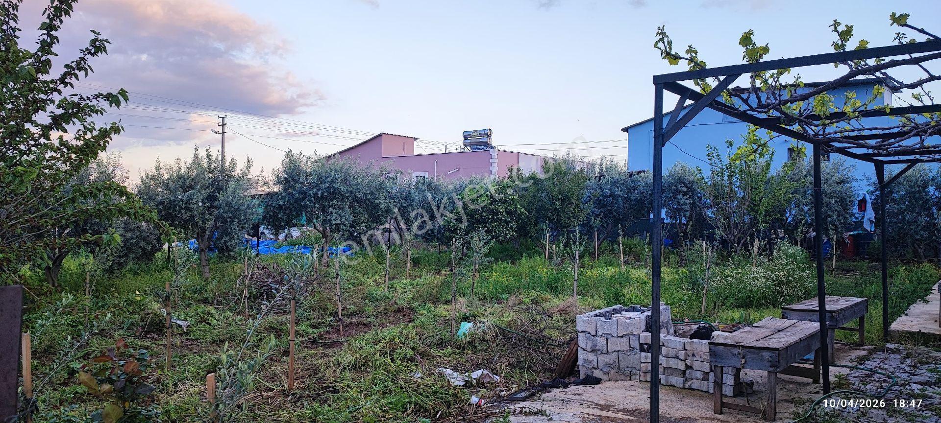 500m2 Arsa Elektriği,suyu,kanalizasyonu Bağlı,lüks Konteyner - Görsel 7