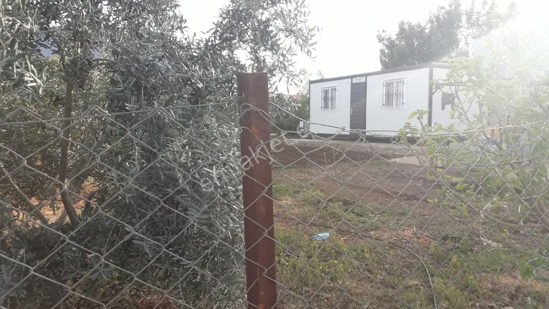 500m2 Arsa Elektriği,suyu,kanalizasyonu Bağlı,lüks Konteyner - Görsel 2