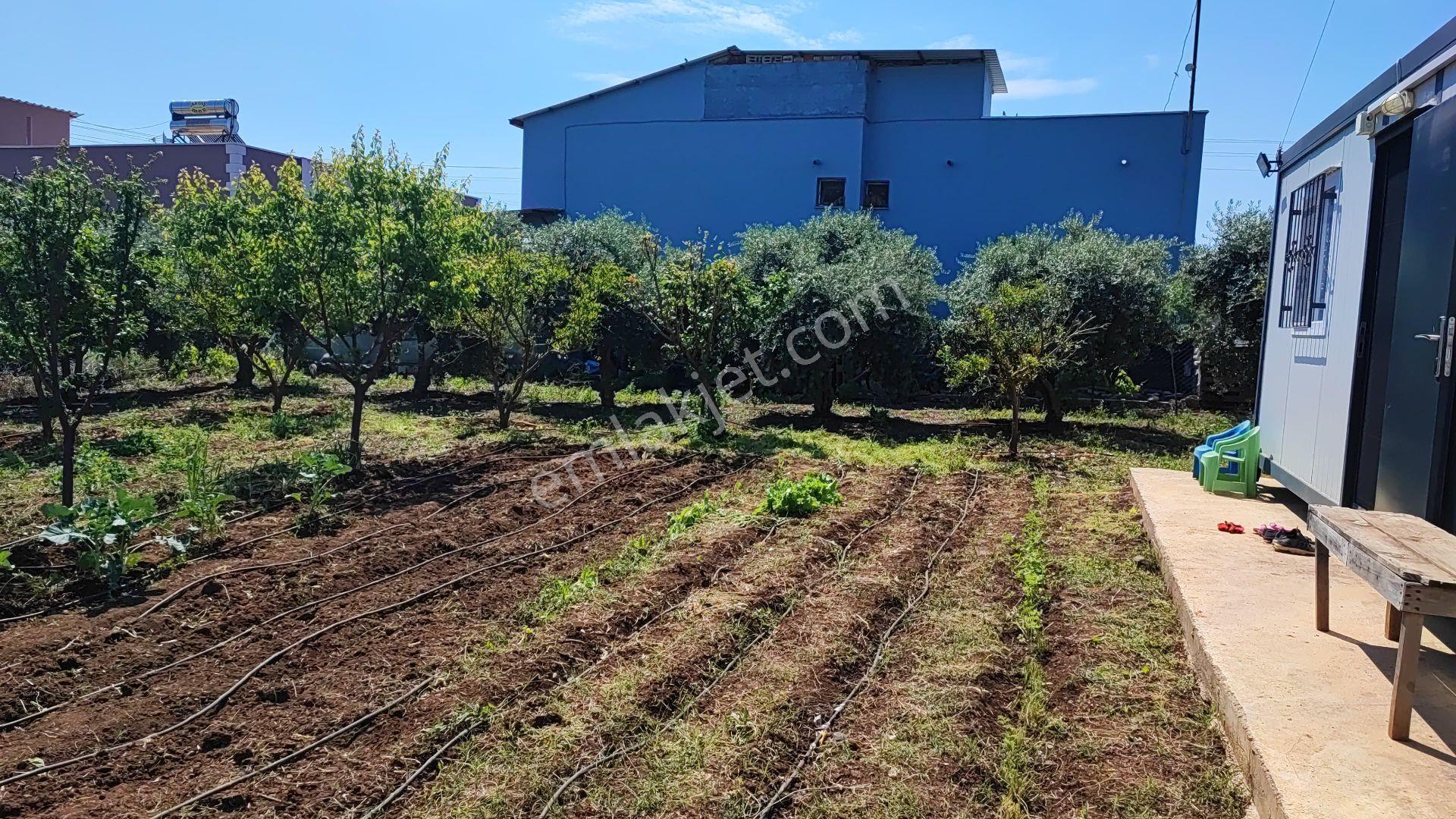 500m2 Arsa Elektriği,suyu,kanalizasyonu Bağlı,lüks Konteyner - Görsel 4