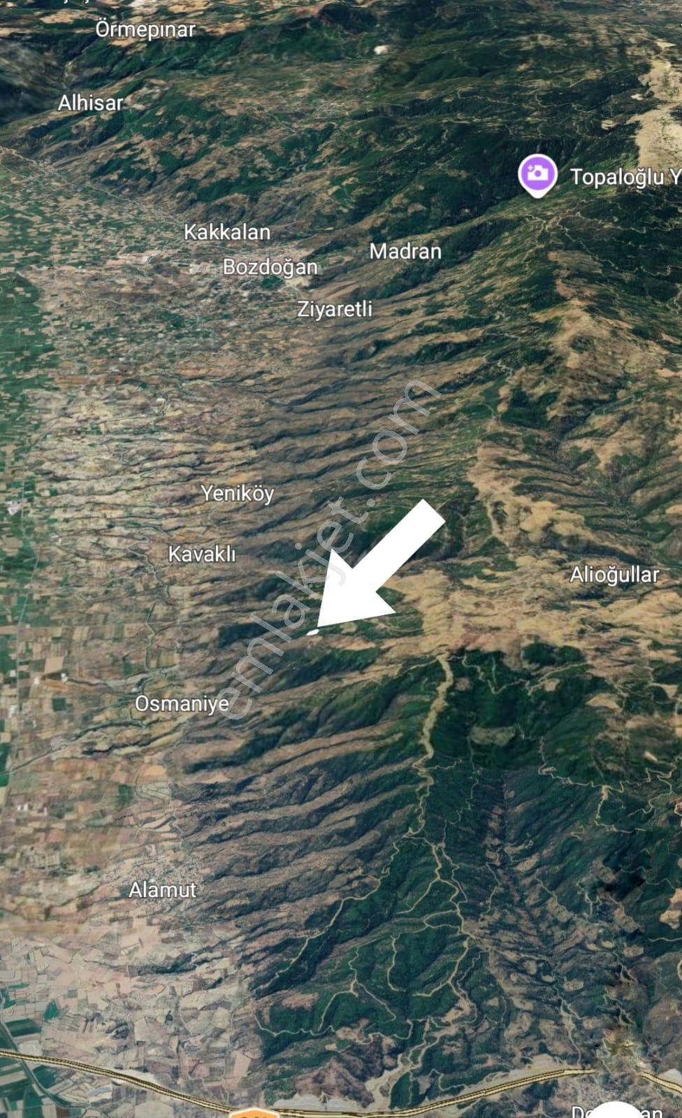 Aydın Bozdoğan Kavaklı'da Satılık Zeytinlik - Görsel 8