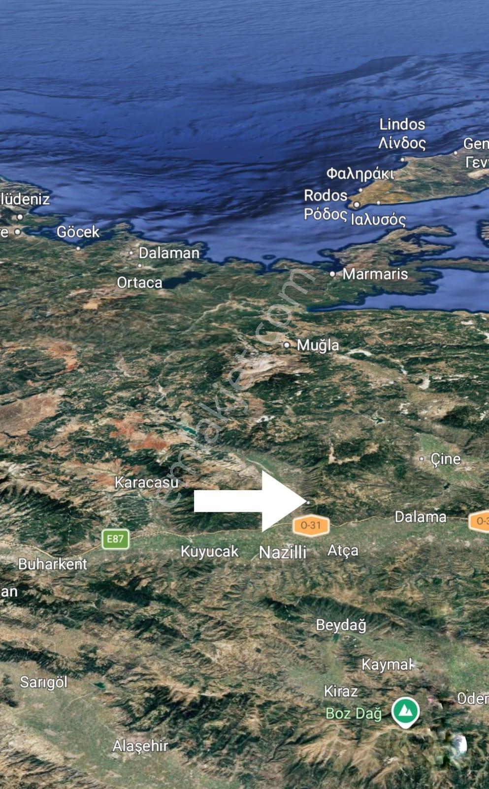 Aydın Bozdoğan Kavaklı'da Satılık Zeytinlik - Görsel 10