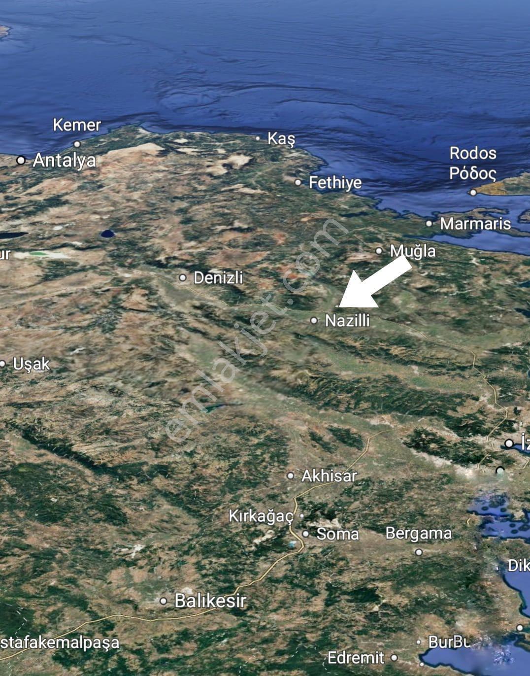 Aydın Bozdoğan Kavaklı'da Satılık Zeytinlik - Görsel 9