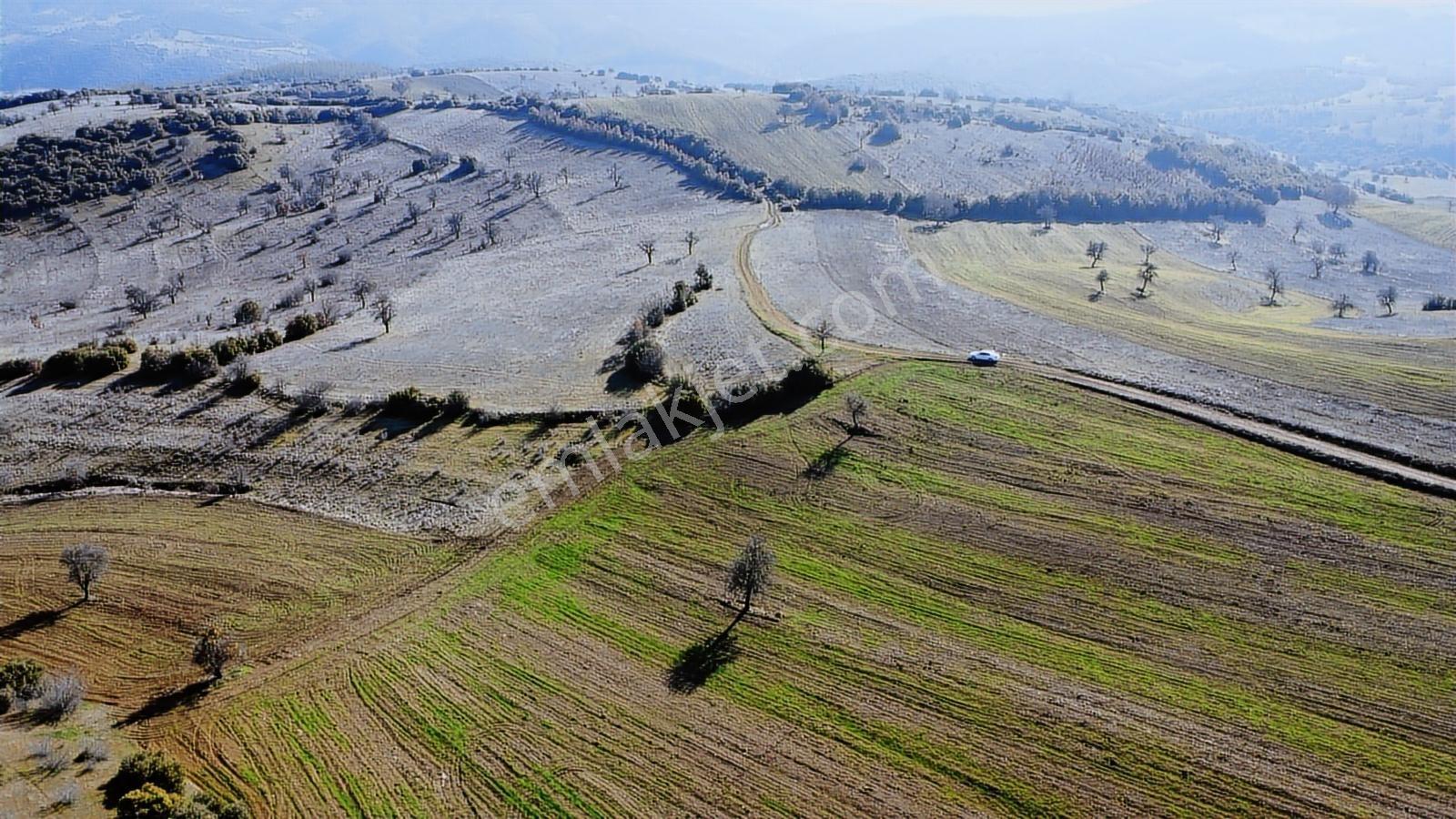 Balıkesir Dursunbey Gökçedağ Köye Yakın Yola Cephe 6425mt Arazi - Görsel 6