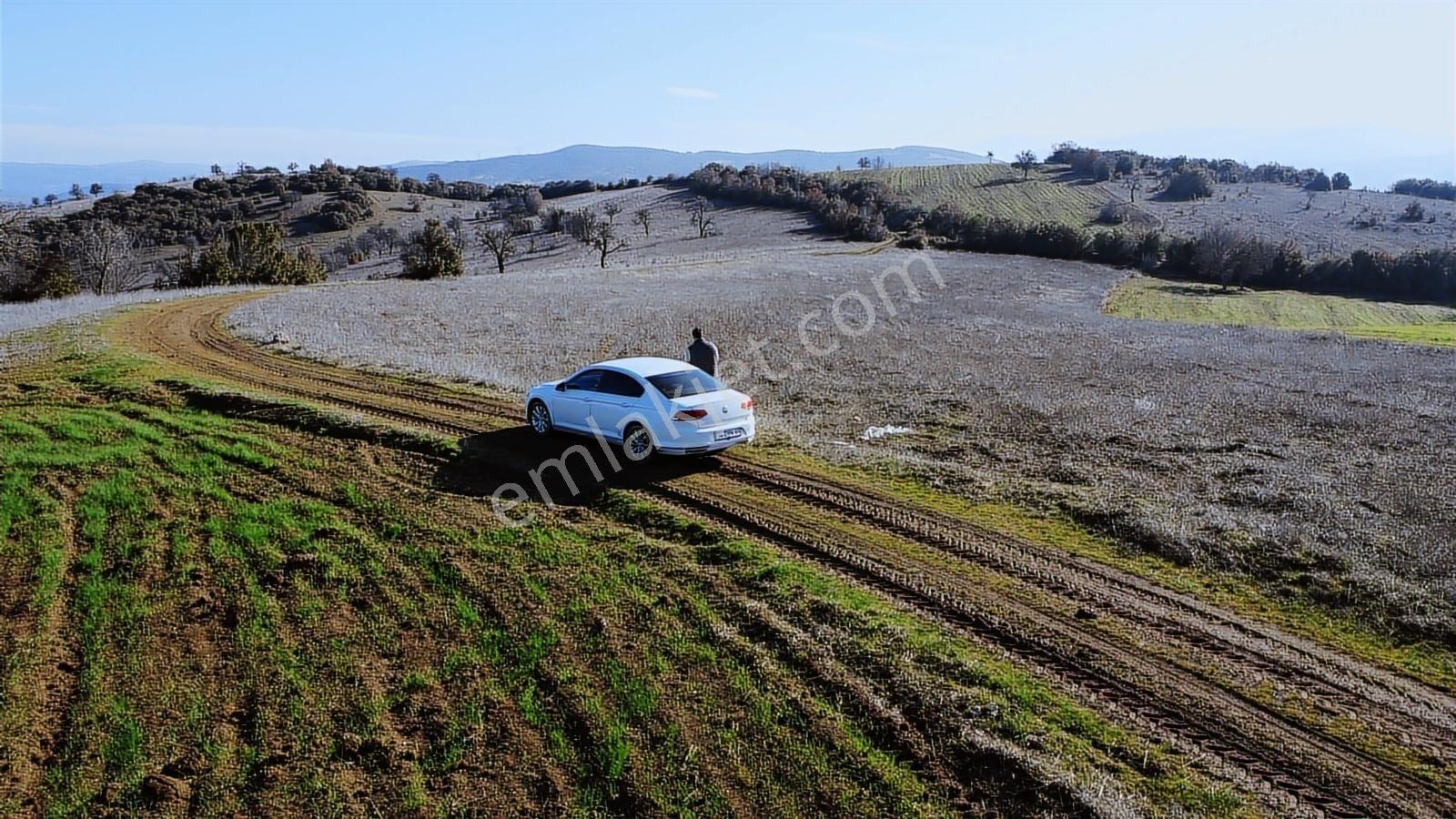 Balıkesir Dursunbey Gökçedağ Köye Yakın Yola Cephe 6425mt Arazi - Görsel 16