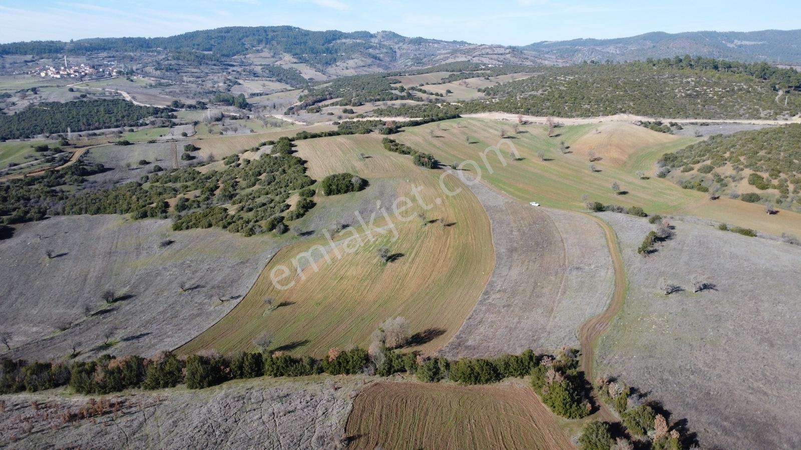 Balıkesir Dursunbey Gökçedağ Köye Yakın Yola Cephe 6425mt Arazi - Görsel 21