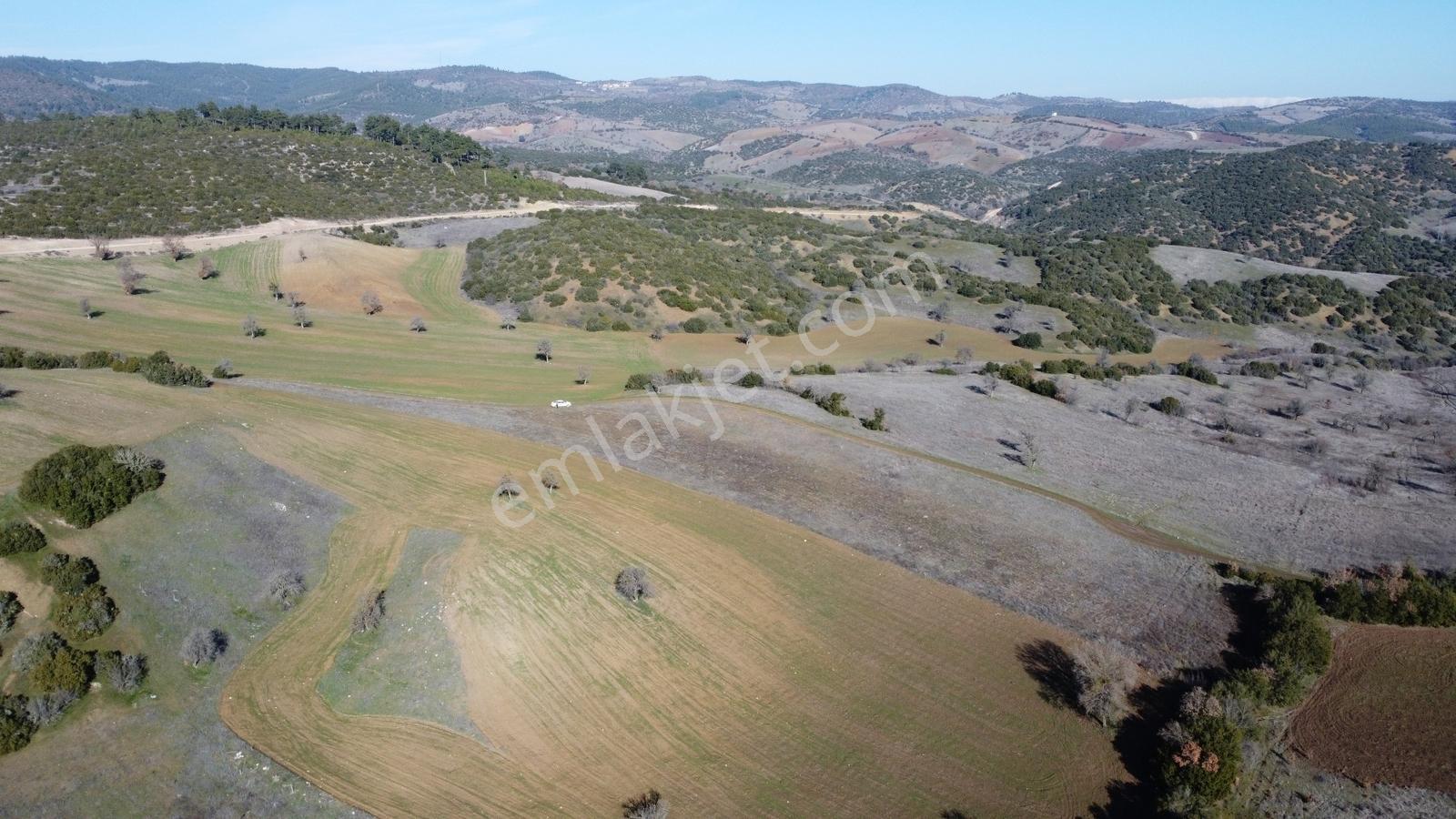 Balıkesir Dursunbey Gökçedağ Köye Yakın Yola Cephe 6425mt Arazi - Görsel 23
