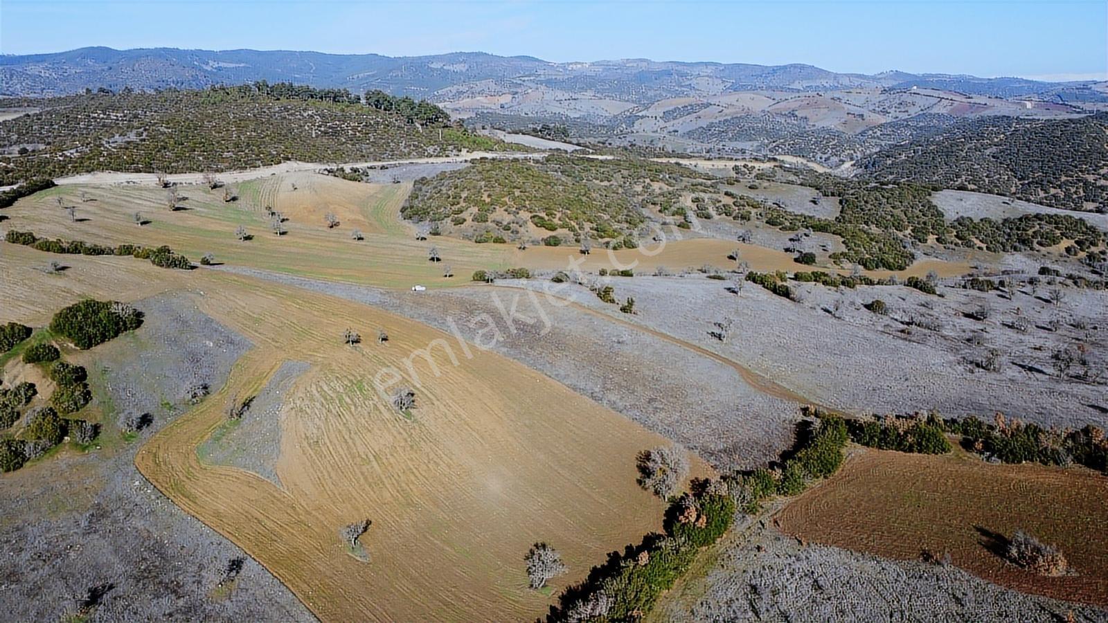 Balıkesir Dursunbey Gökçedağ Köye Yakın Yola Cephe 6425mt Arazi - Görsel 3