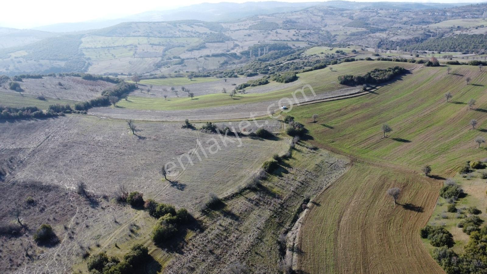 Balıkesir Dursunbey Gökçedağ Köye Yakın Yola Cephe 6425mt Arazi - Görsel 12