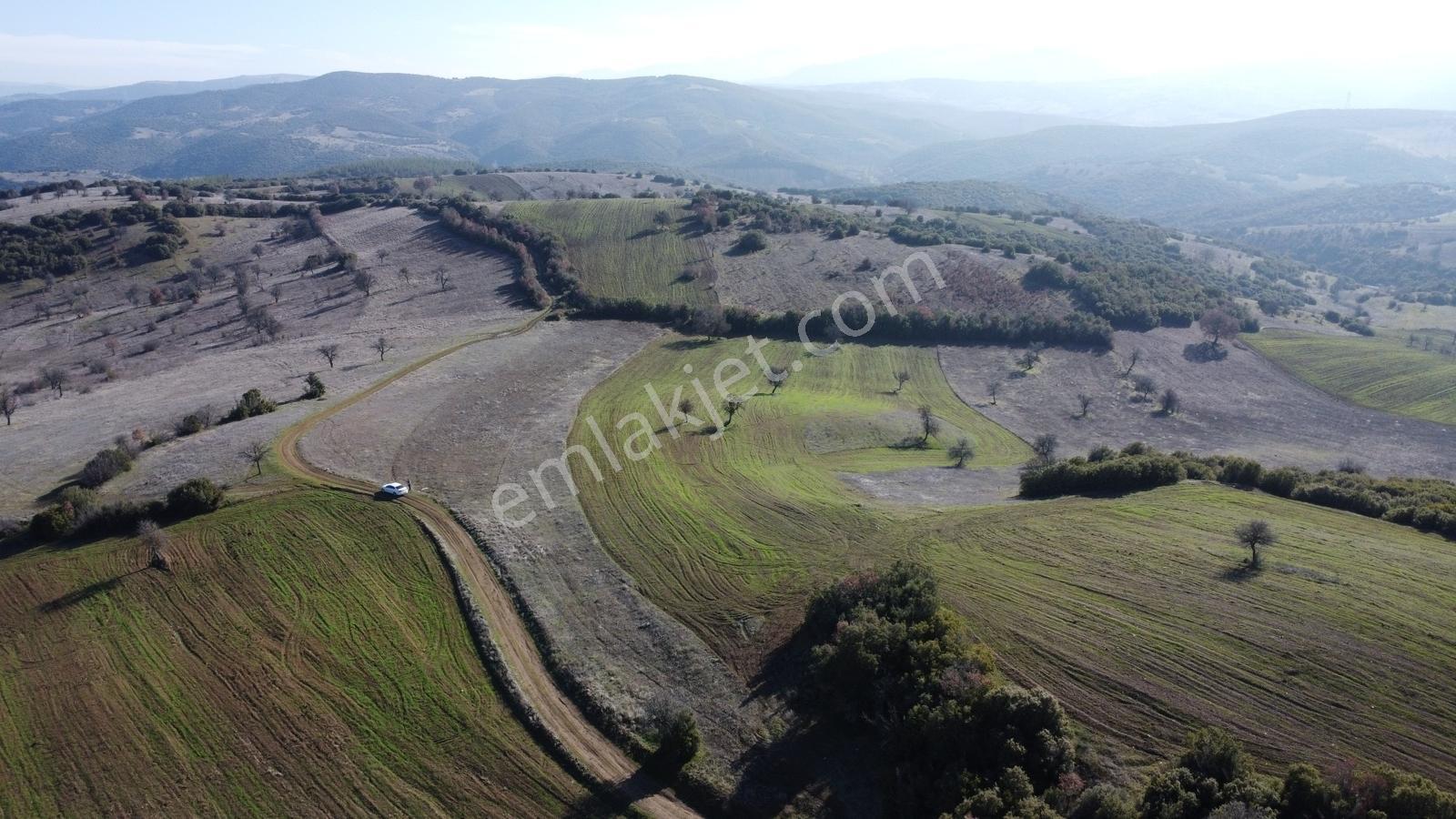 Balıkesir Dursunbey Gökçedağ Köye Yakın Yola Cephe 6425mt Arazi - Görsel 5