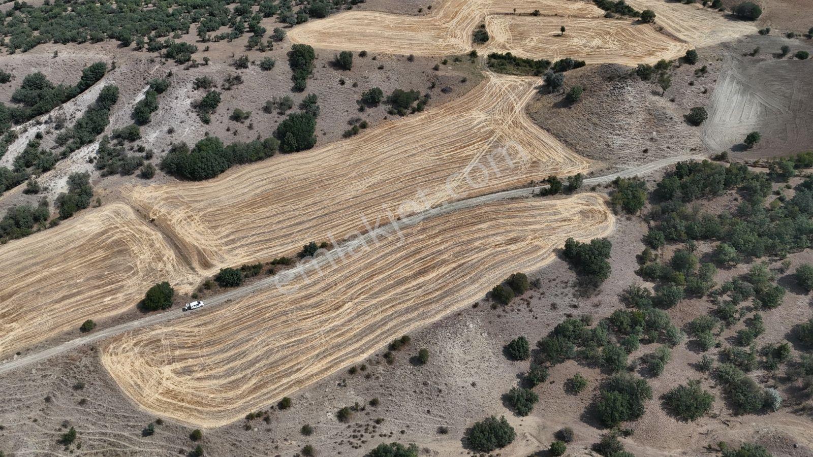 Kredi Kart Satış Sabanözü Gürpınar 7429mt Resmi Yola Cepheli - Görsel 24
