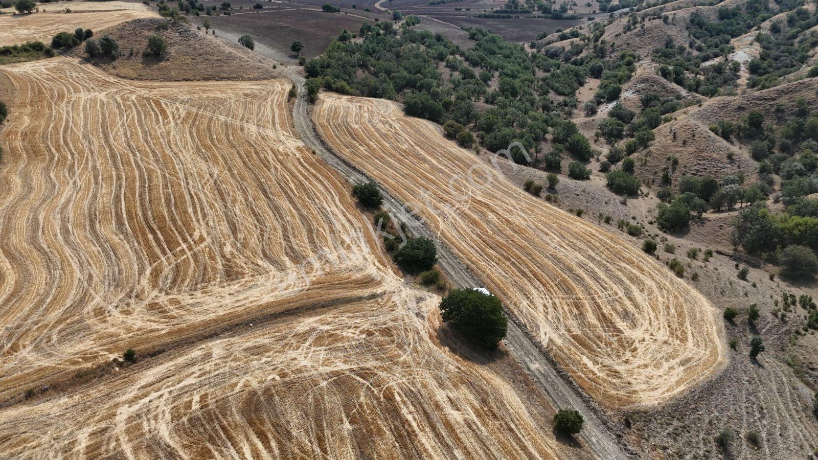Kredi Kart Satış Sabanözü Gürpınar 7429mt Resmi Yola Cepheli - Görsel 3