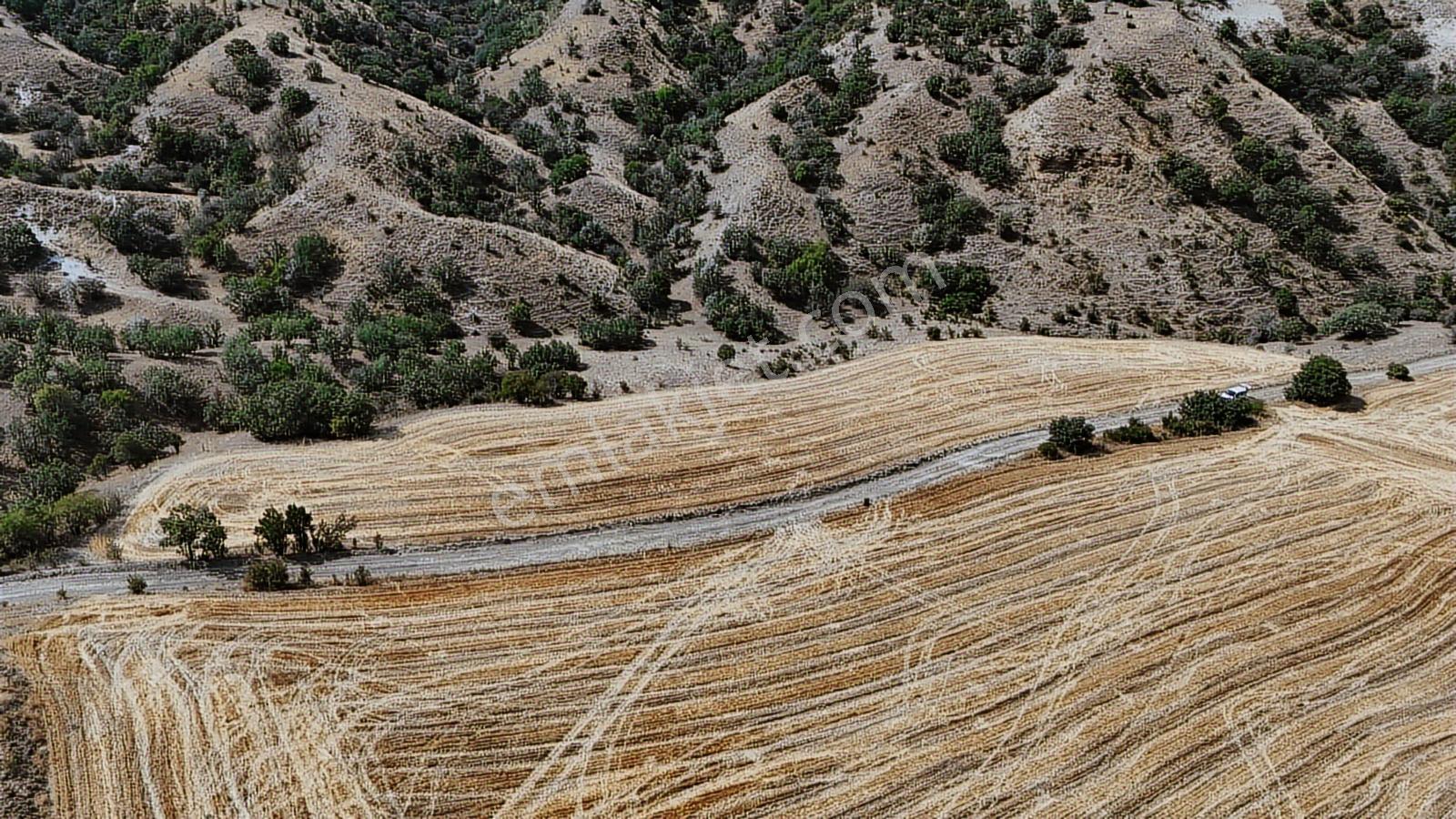 Kredi Kart Satış Sabanözü Gürpınar 7429mt Resmi Yola Cepheli - Görsel 11